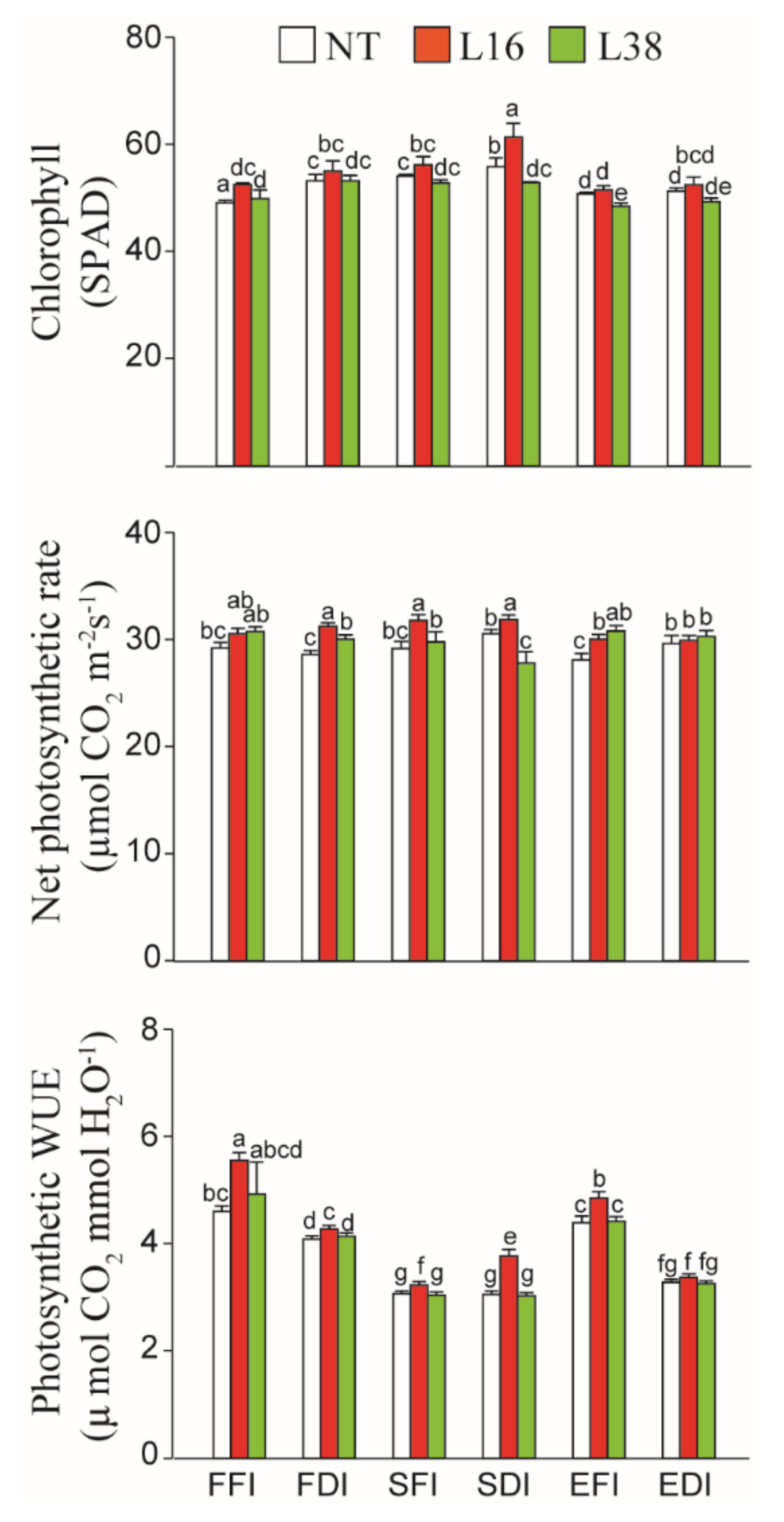 Agronomy 11 01019 g004 Agronomy 11 01019 g004