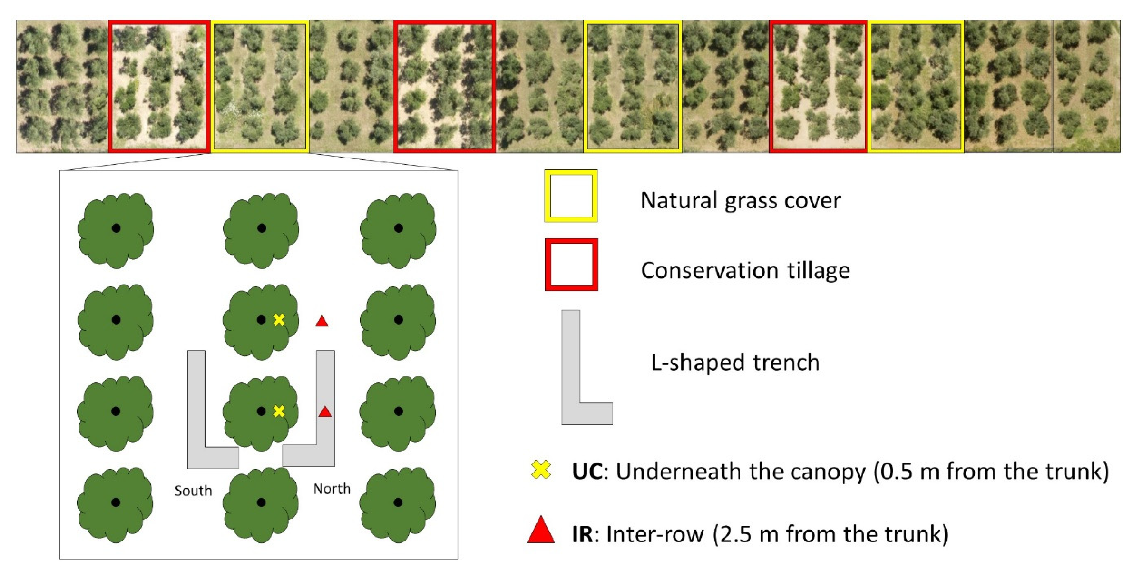 Agronomy 11 01036 g001