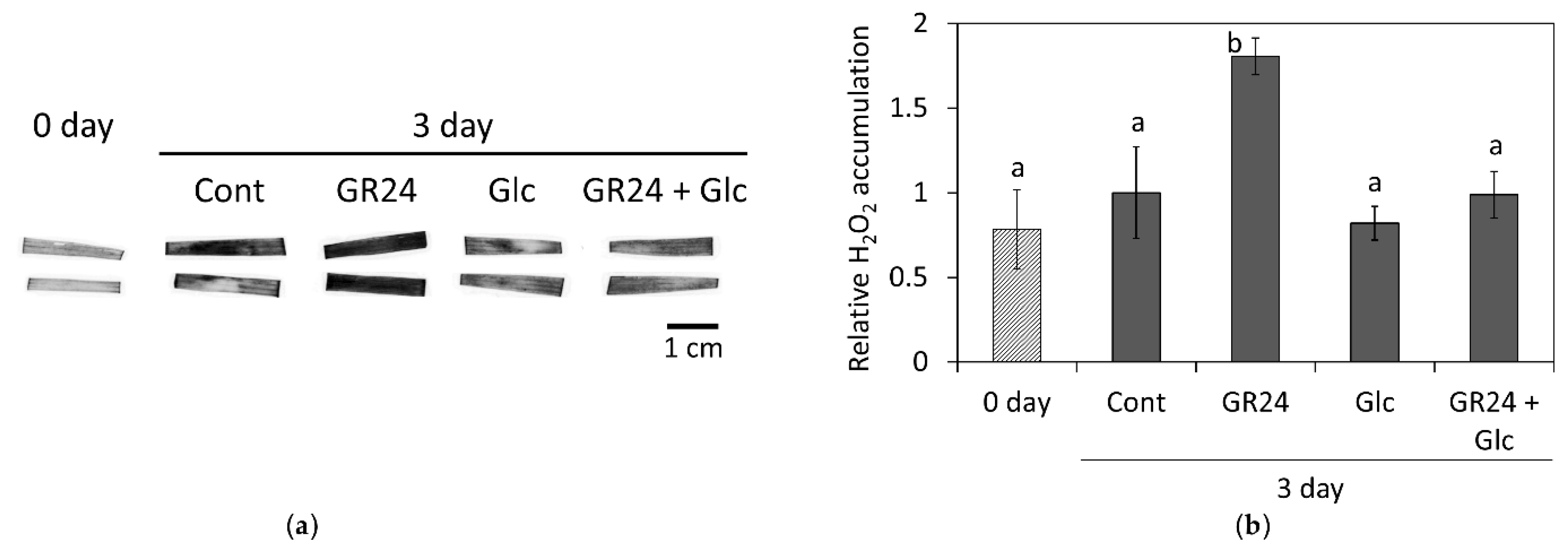 Agronomy 11 01044 g004 Agronomy 11 01044 g004