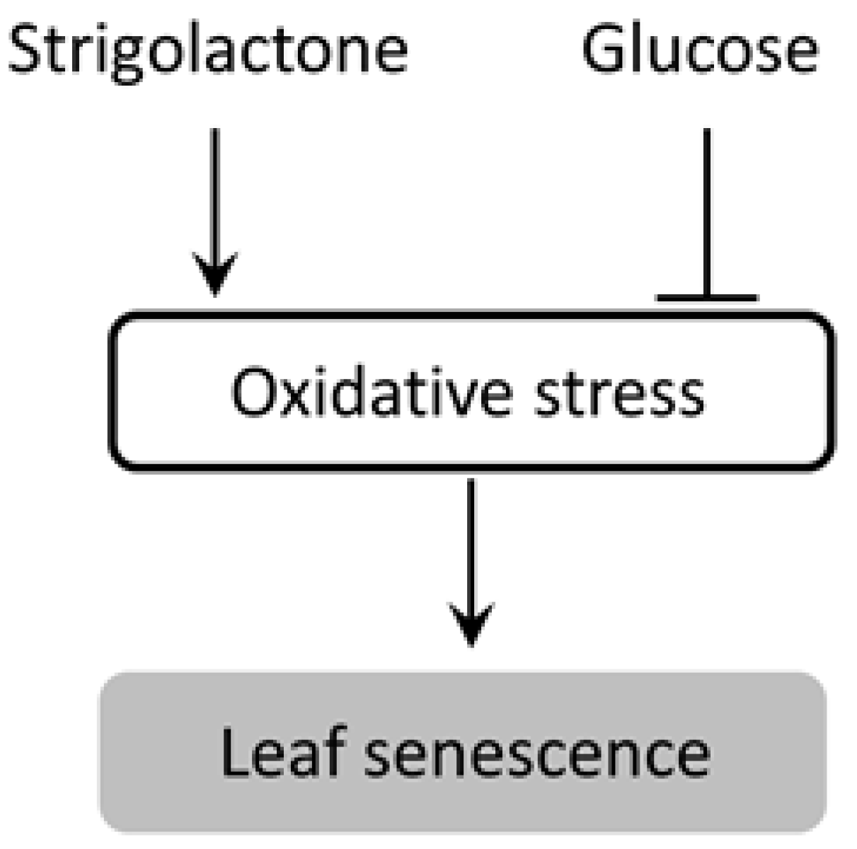 Agronomy 11 01044 g007 Agronomy 11 01044 g007
