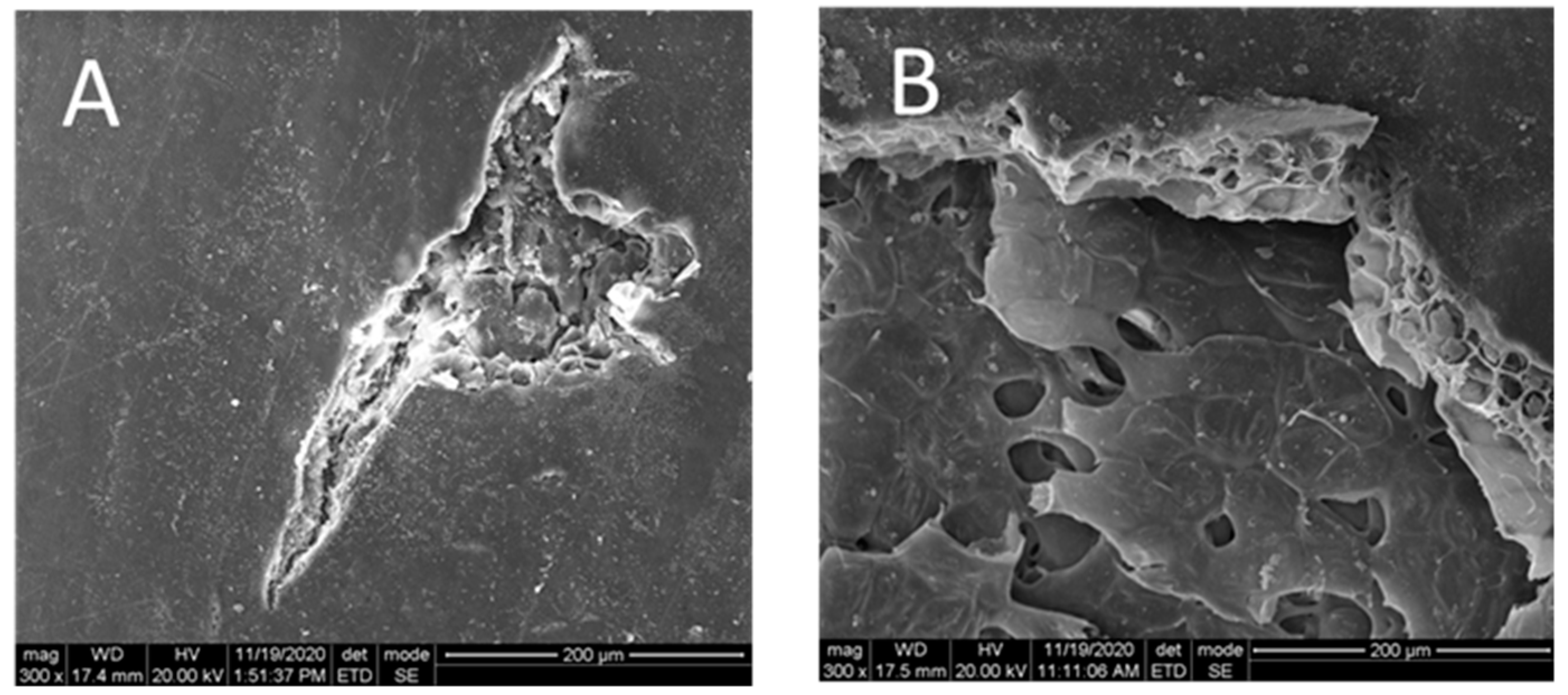 Agronomy 11 01045 g001 Agronomy 11 01045 g001