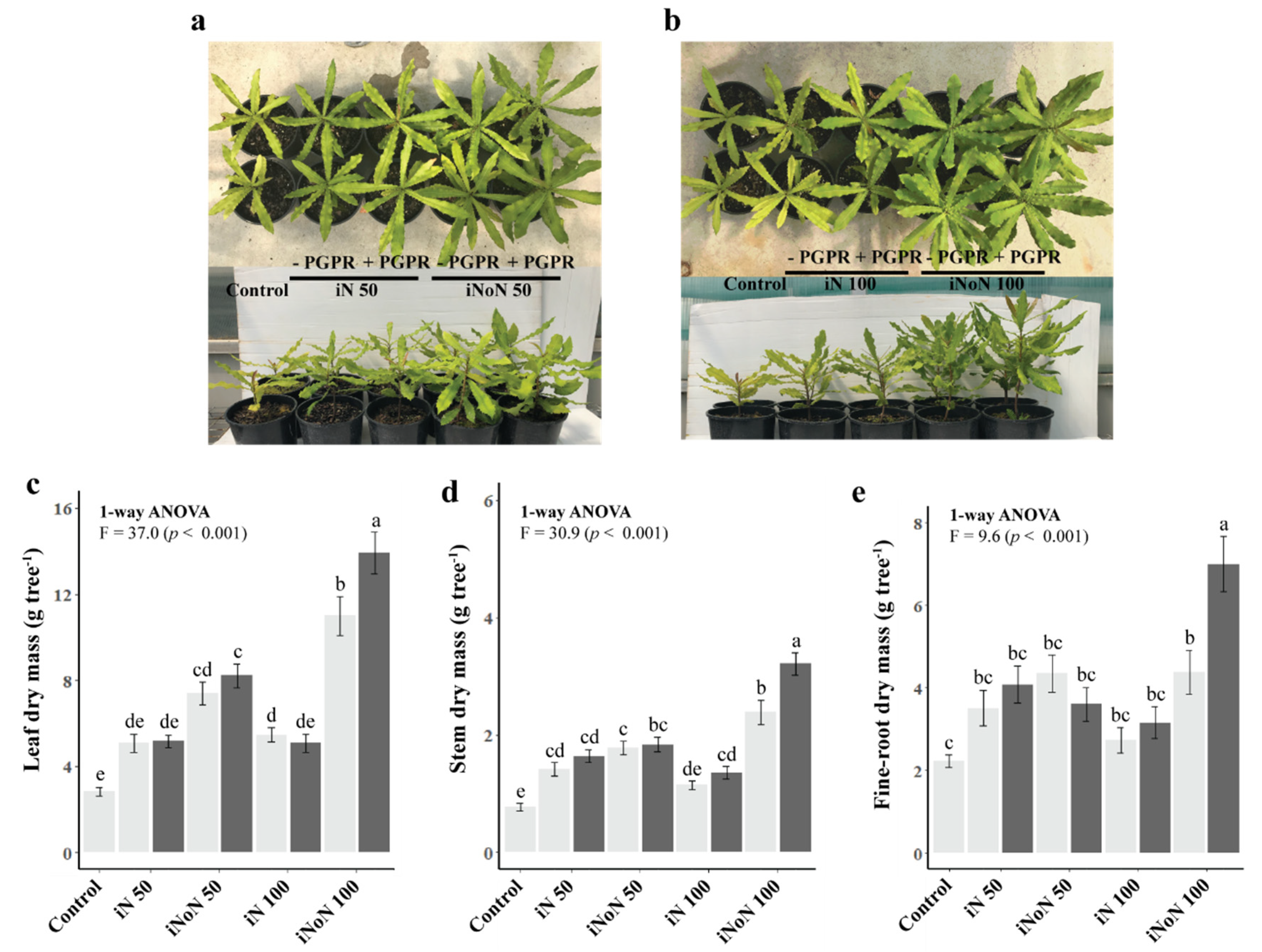 Agronomy 11 01064 g001