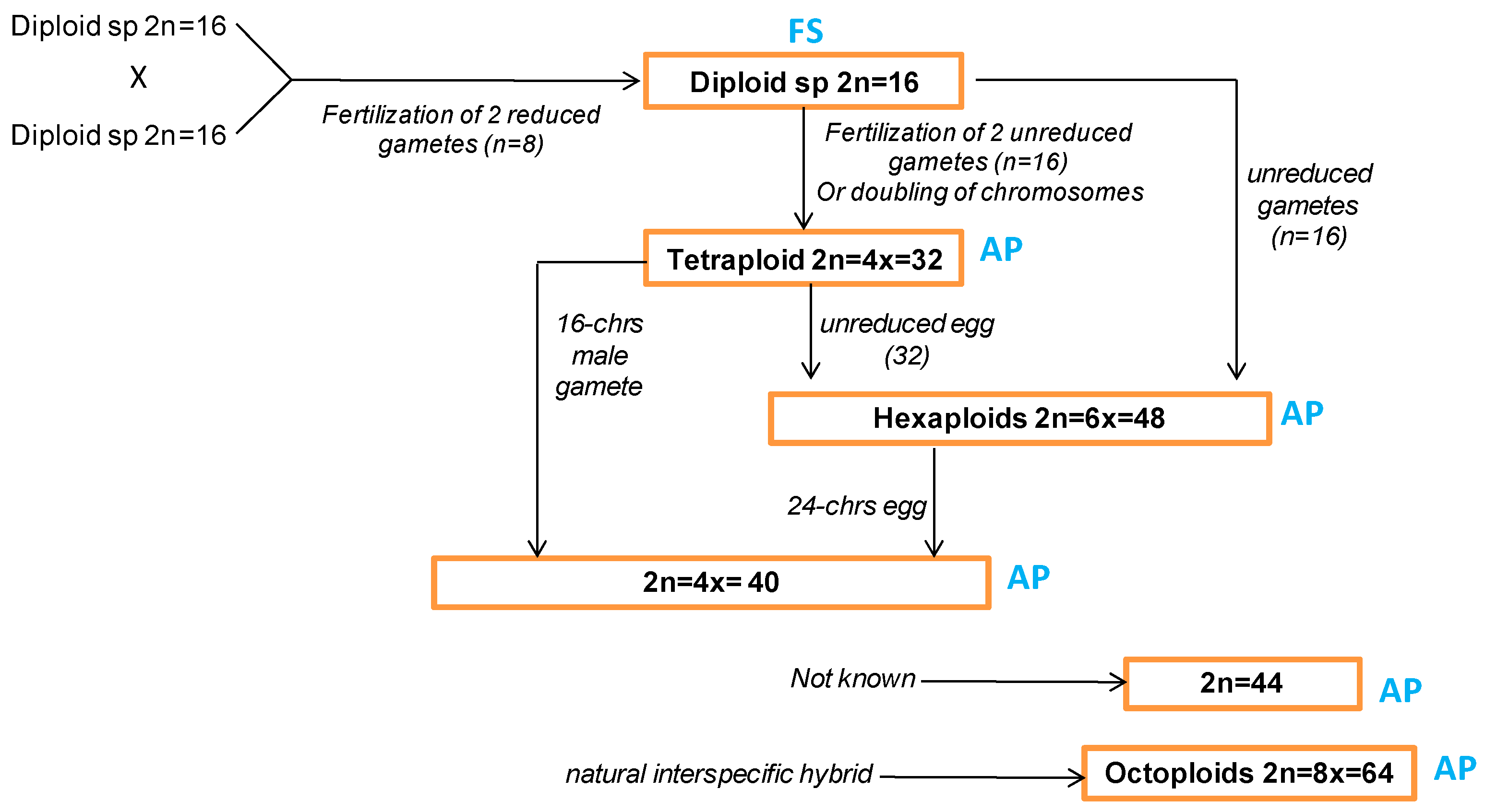 Agronomy 11 01071 g001