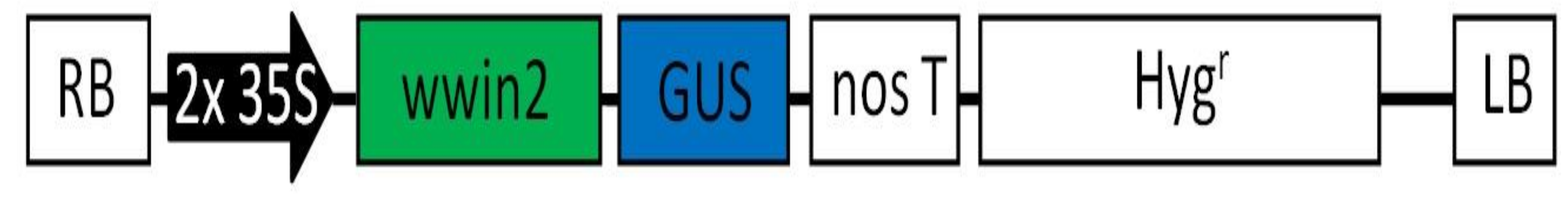 Agronomy 11 01072 g001 Agronomy 11 01072 g001