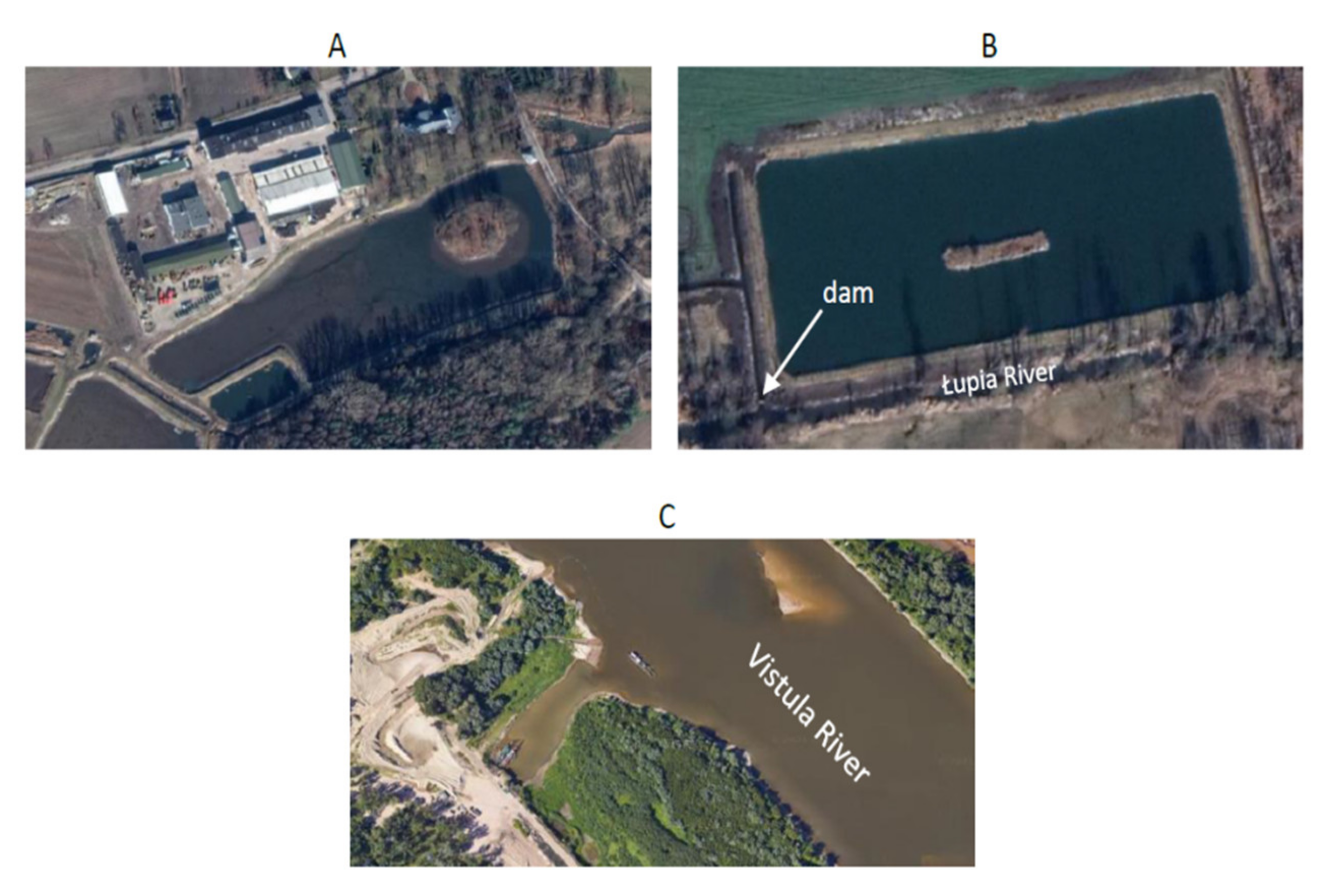 Agronomy 11 01077 g001