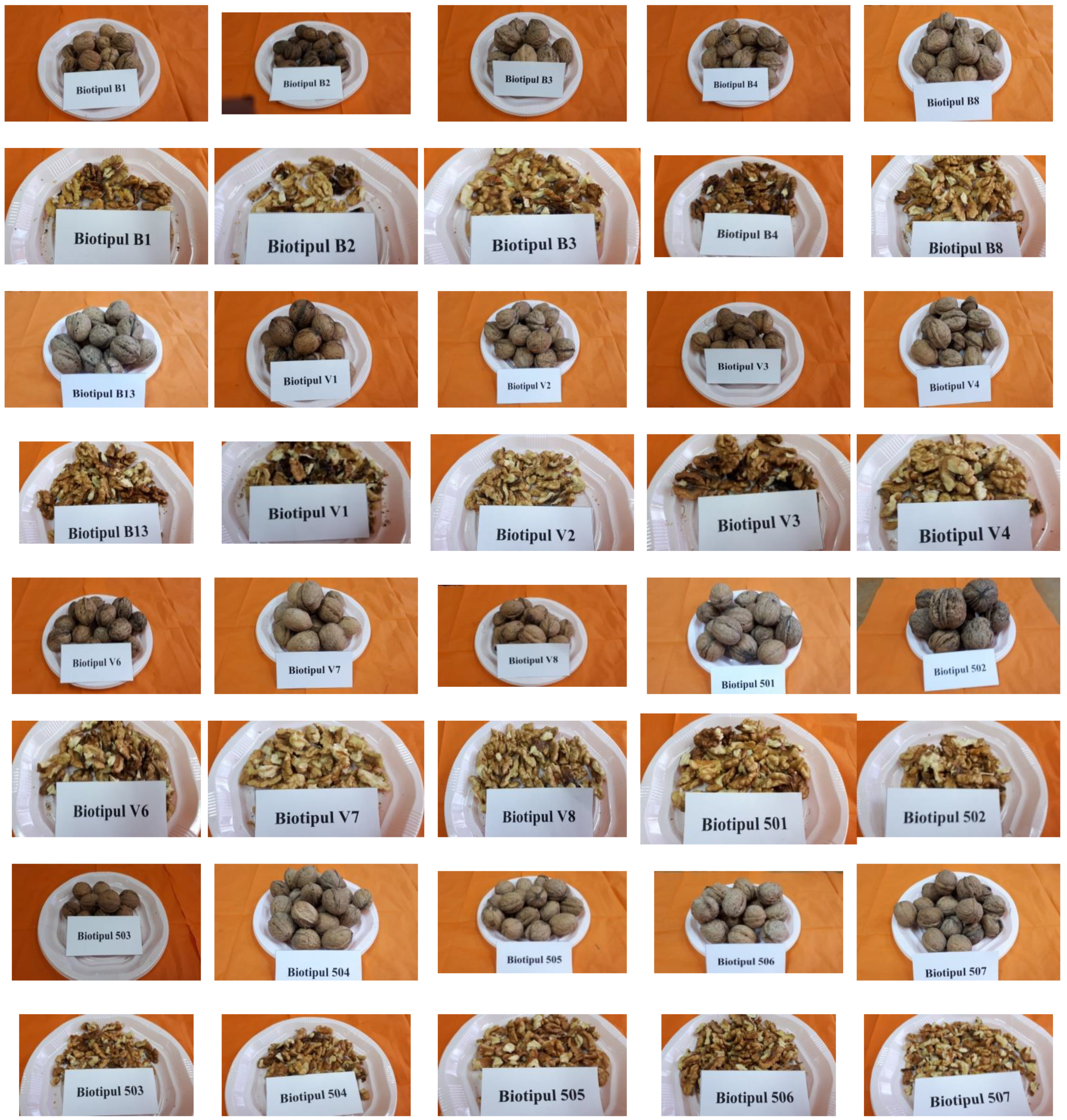 Agronomy 11 01092 g001