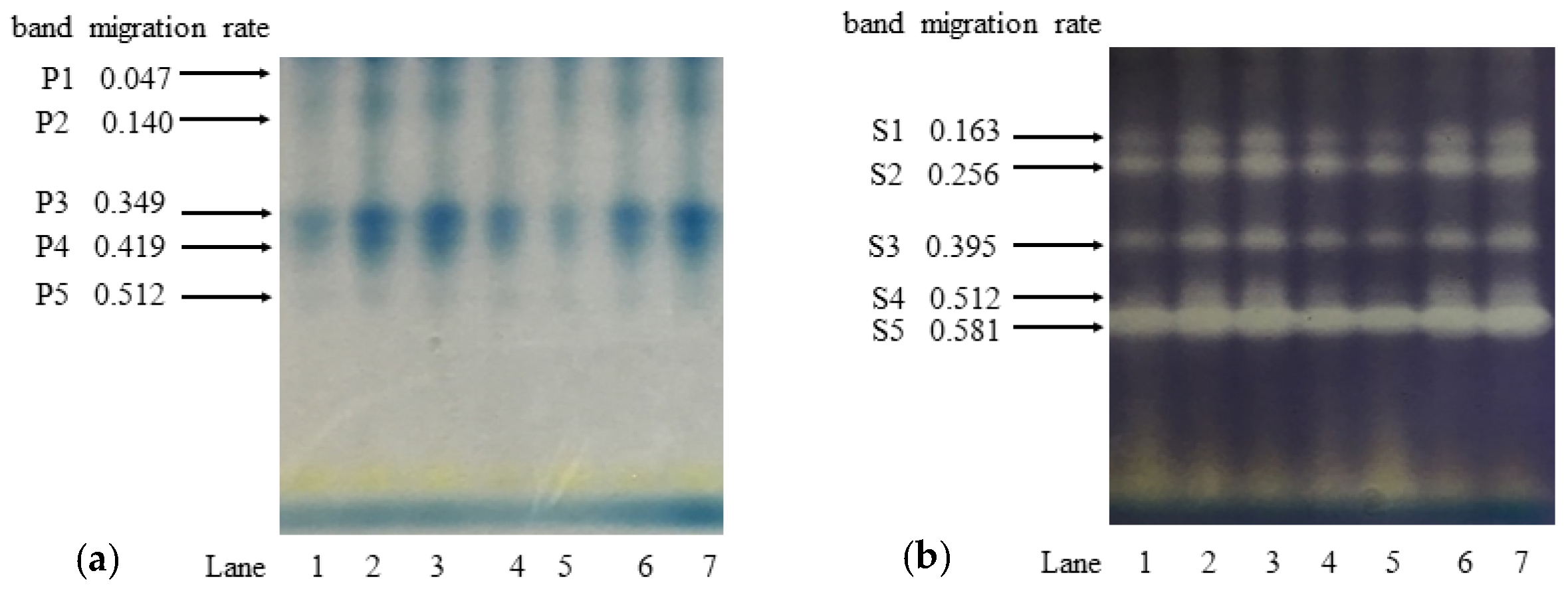 Agronomy 11 01094 g006