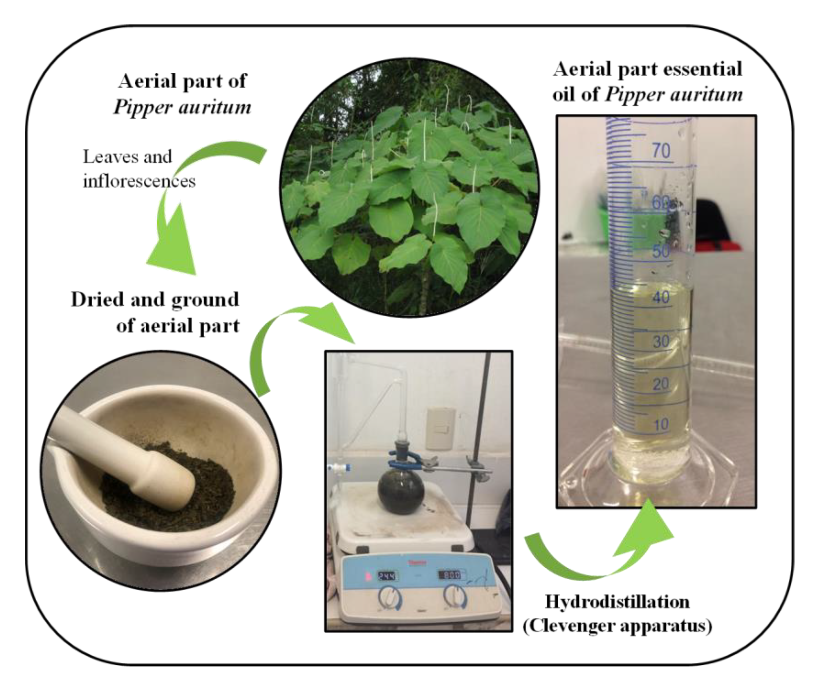 Agronomy 11 01098 g001 Agronomy 11 01098 g001