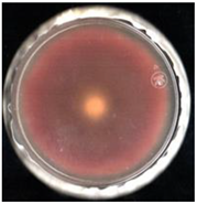 Agronomy 11 01098 i002 Agronomy 11 01098 i002