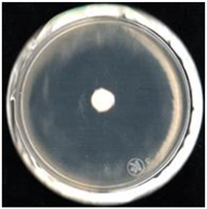 Agronomy 11 01098 i009 Agronomy 11 01098 i009