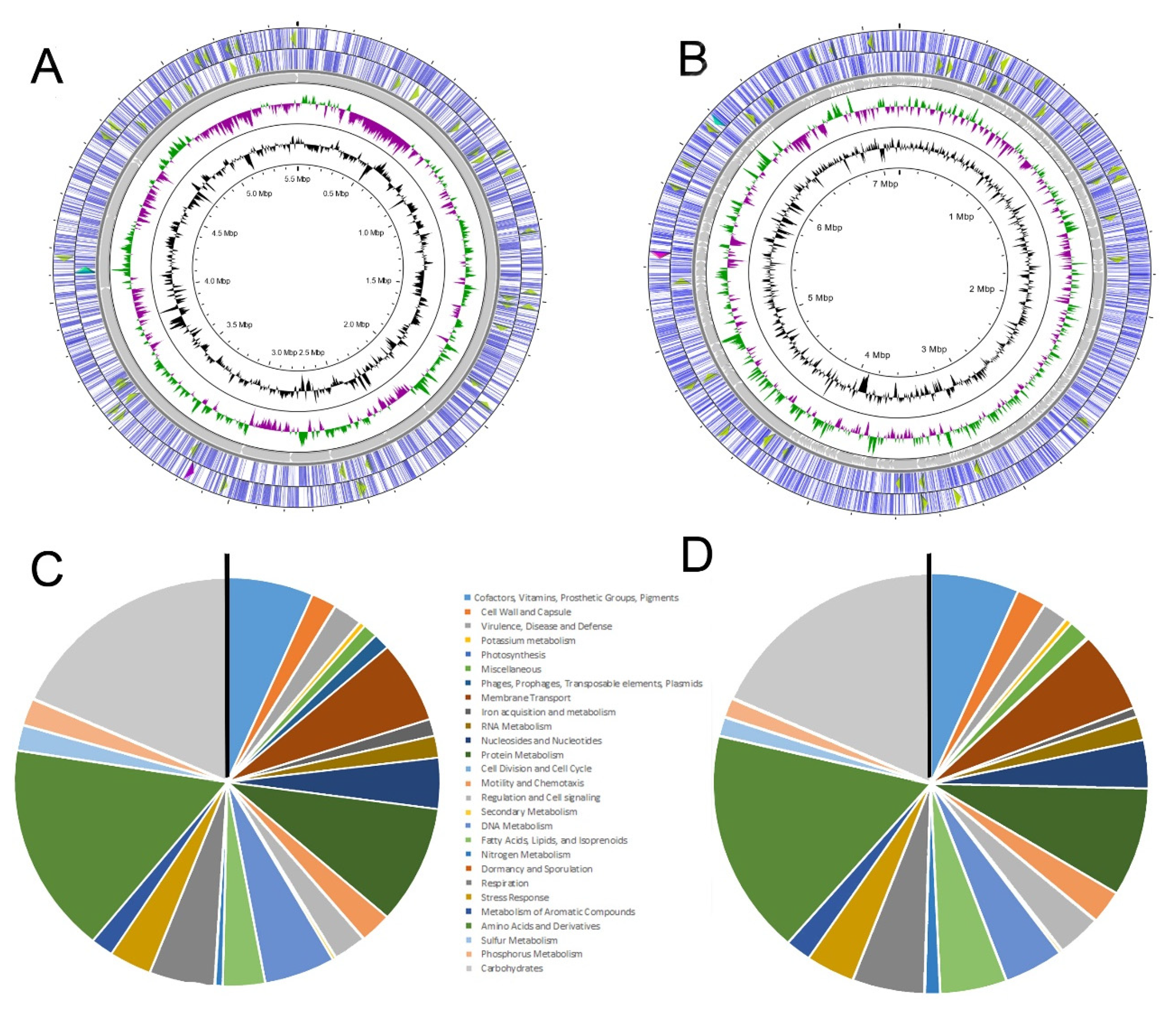Agronomy 11 01124 g001