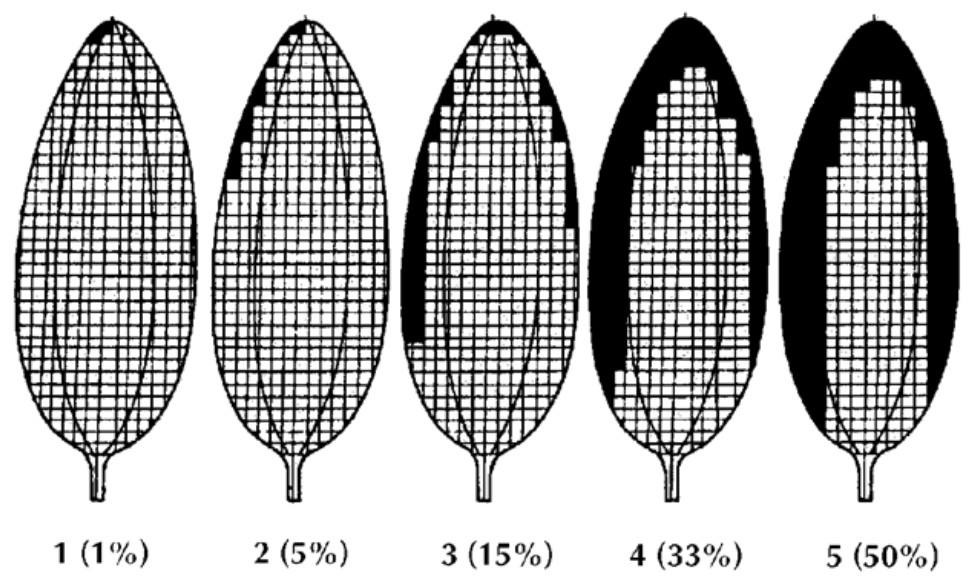 Agronomy 11 01145 g001