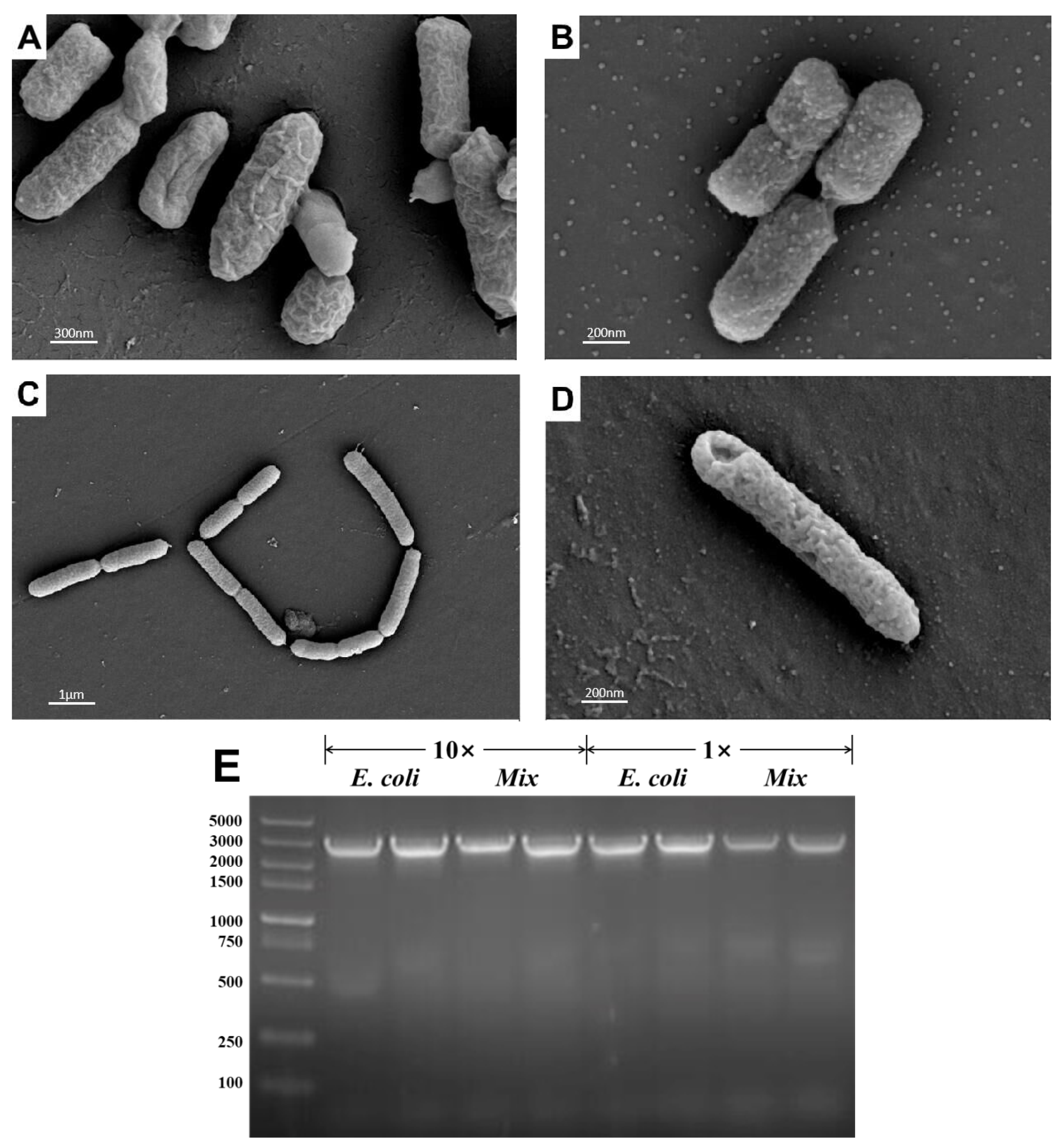 Agronomy 11 01159 g006