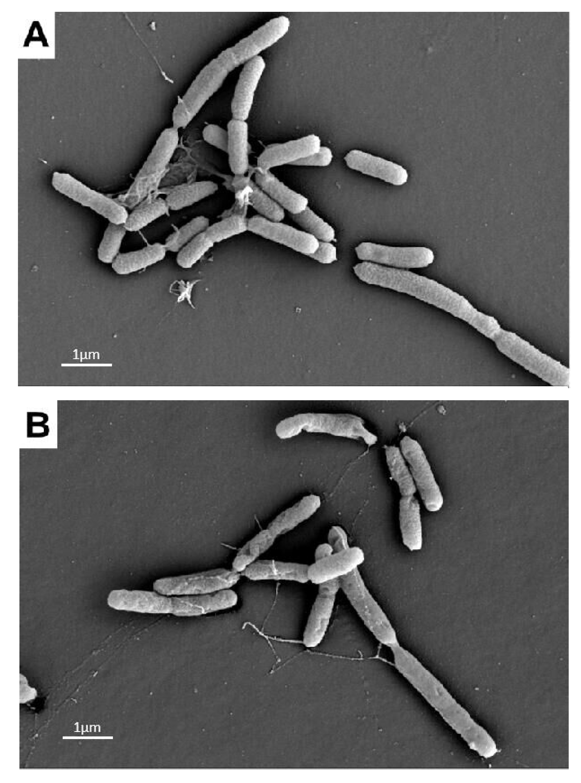 Agronomy 11 01159 g007a