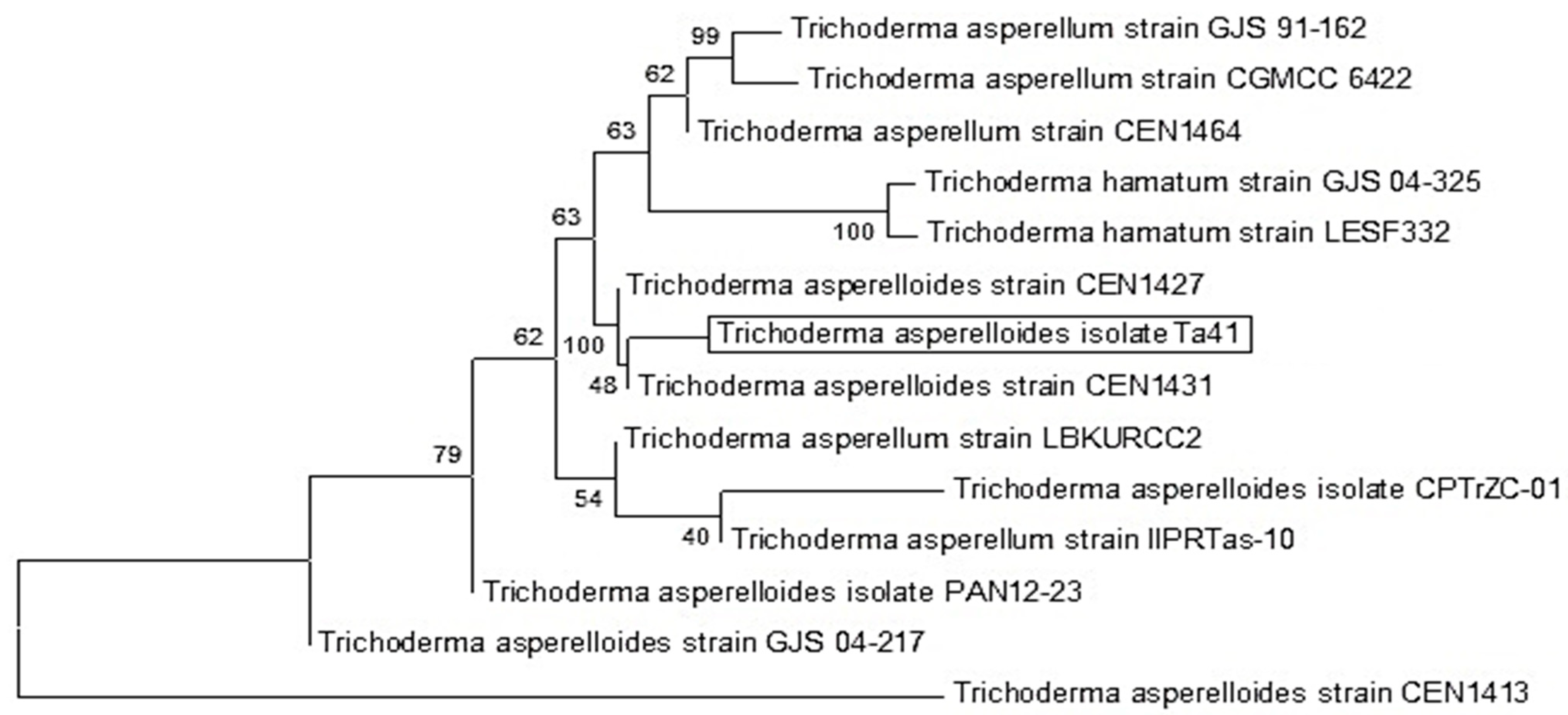 Agronomy 11 01162 g002