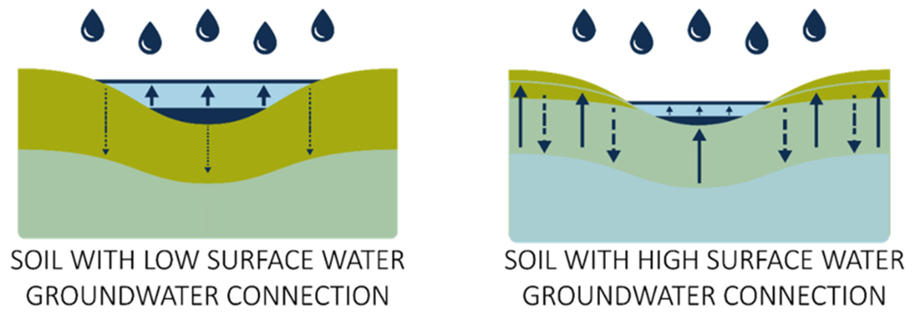 Agronomy 11 01187 g002