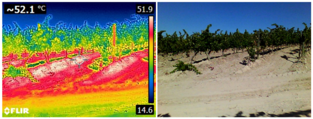 Agronomy 11 01192 g003