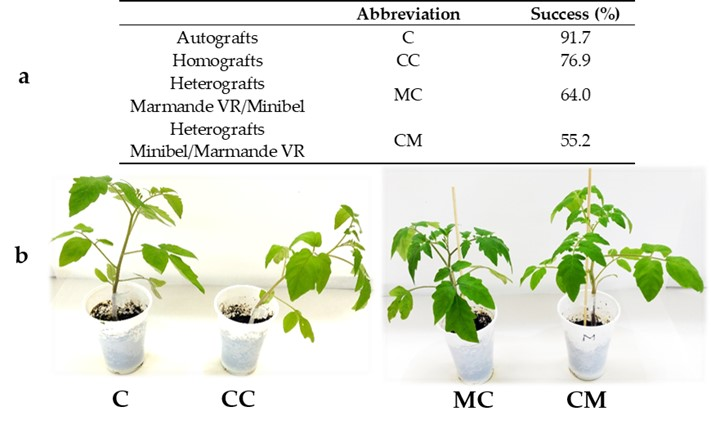 Agronomy 11 01197 g001