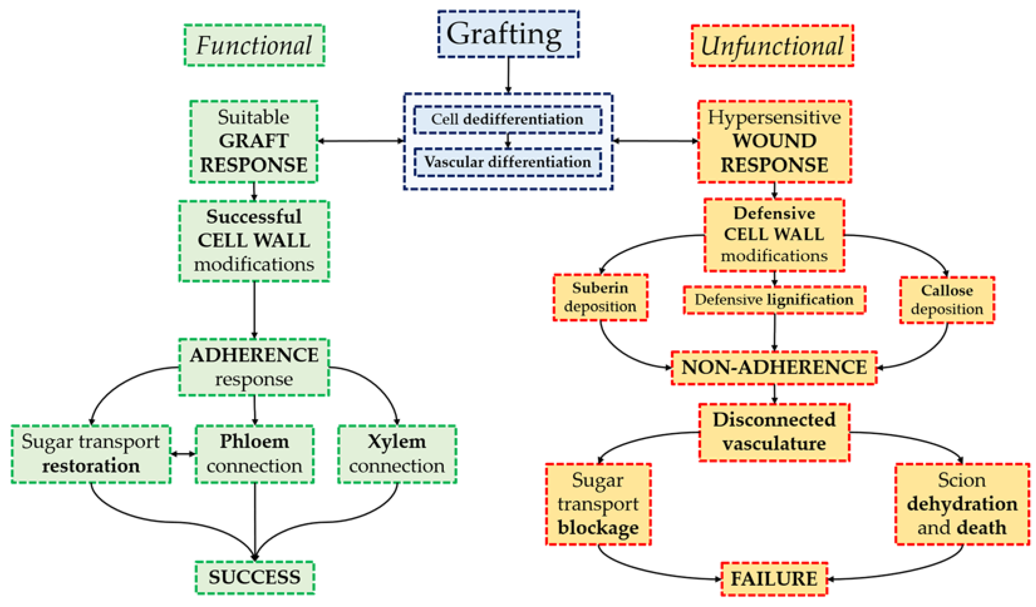 Agronomy 11 01197 g007