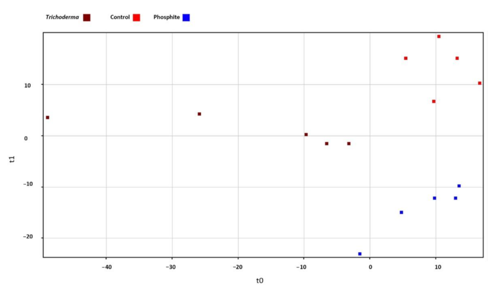 Agronomy 11 01205 g002 Agronomy 11 01205 g002