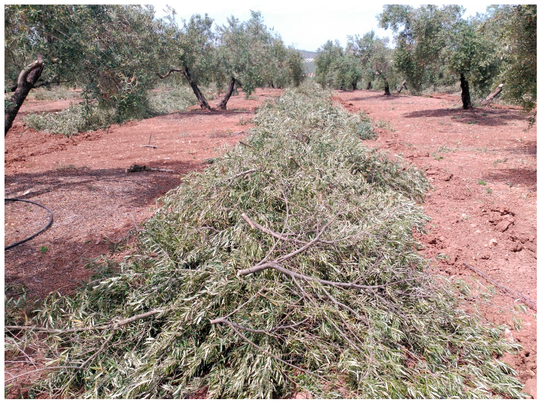 Agronomy 11 01209 g002