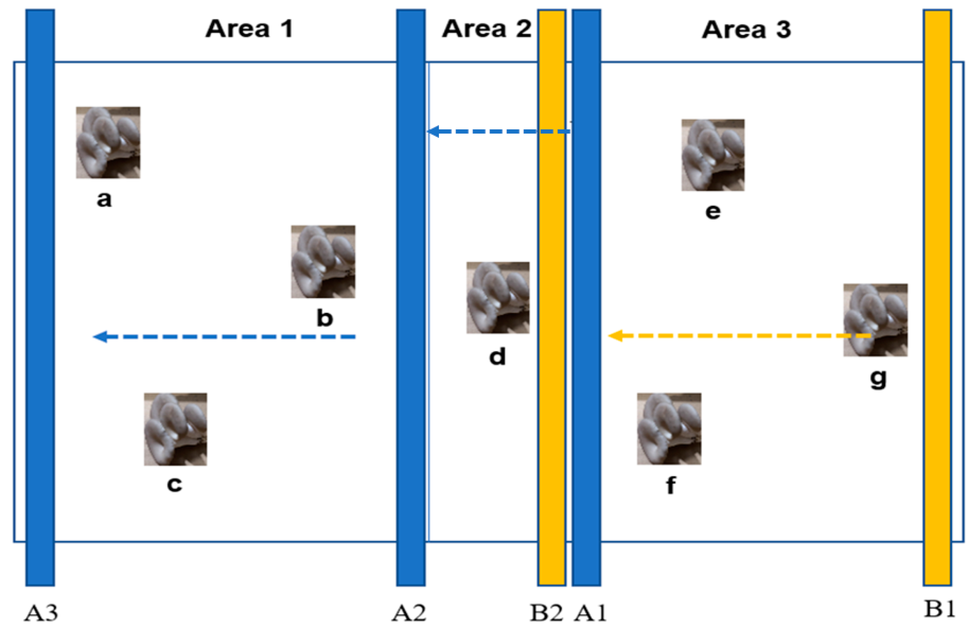 Agronomy 11 01210 g008
