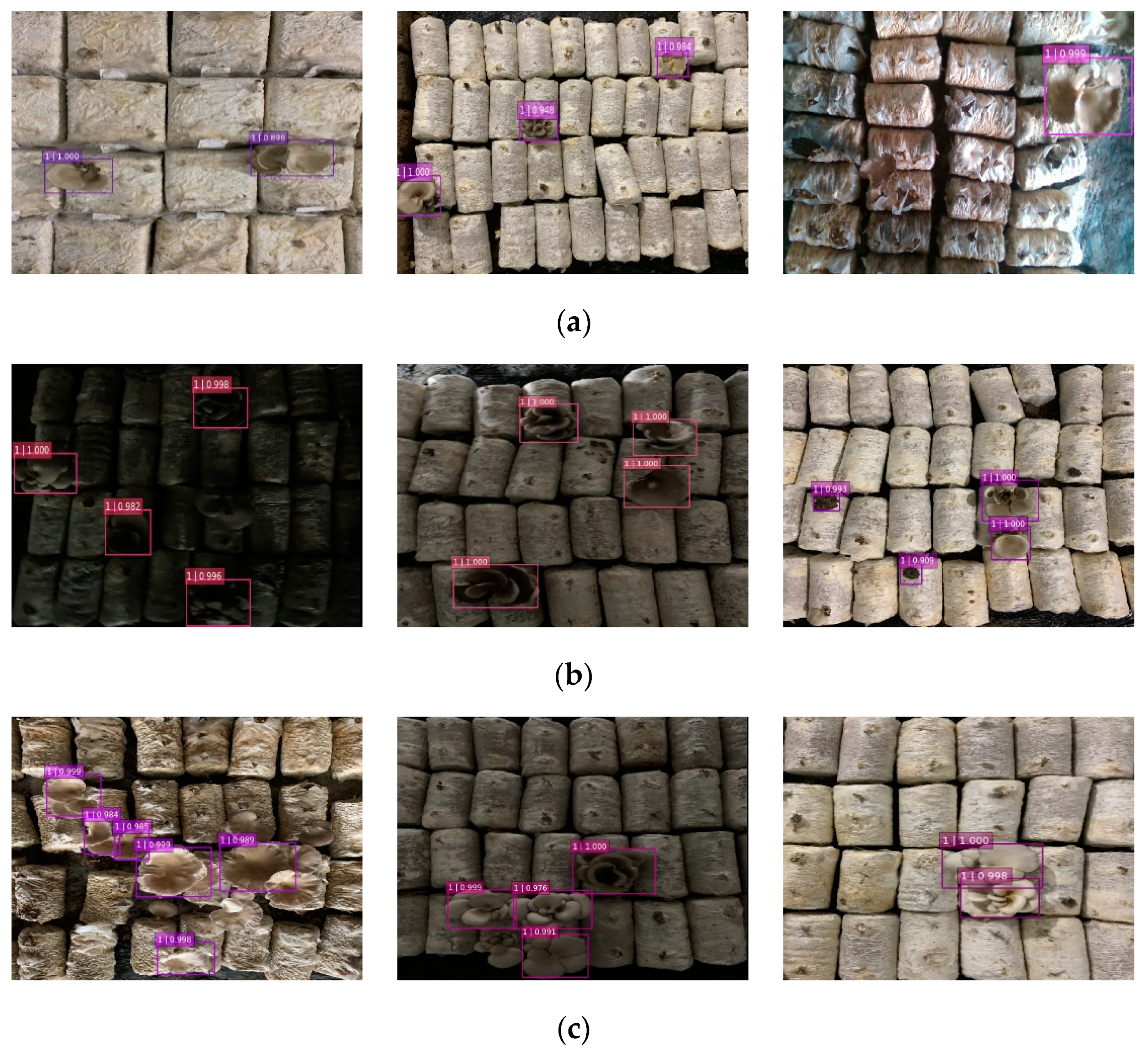 Agronomy 11 01210 g011