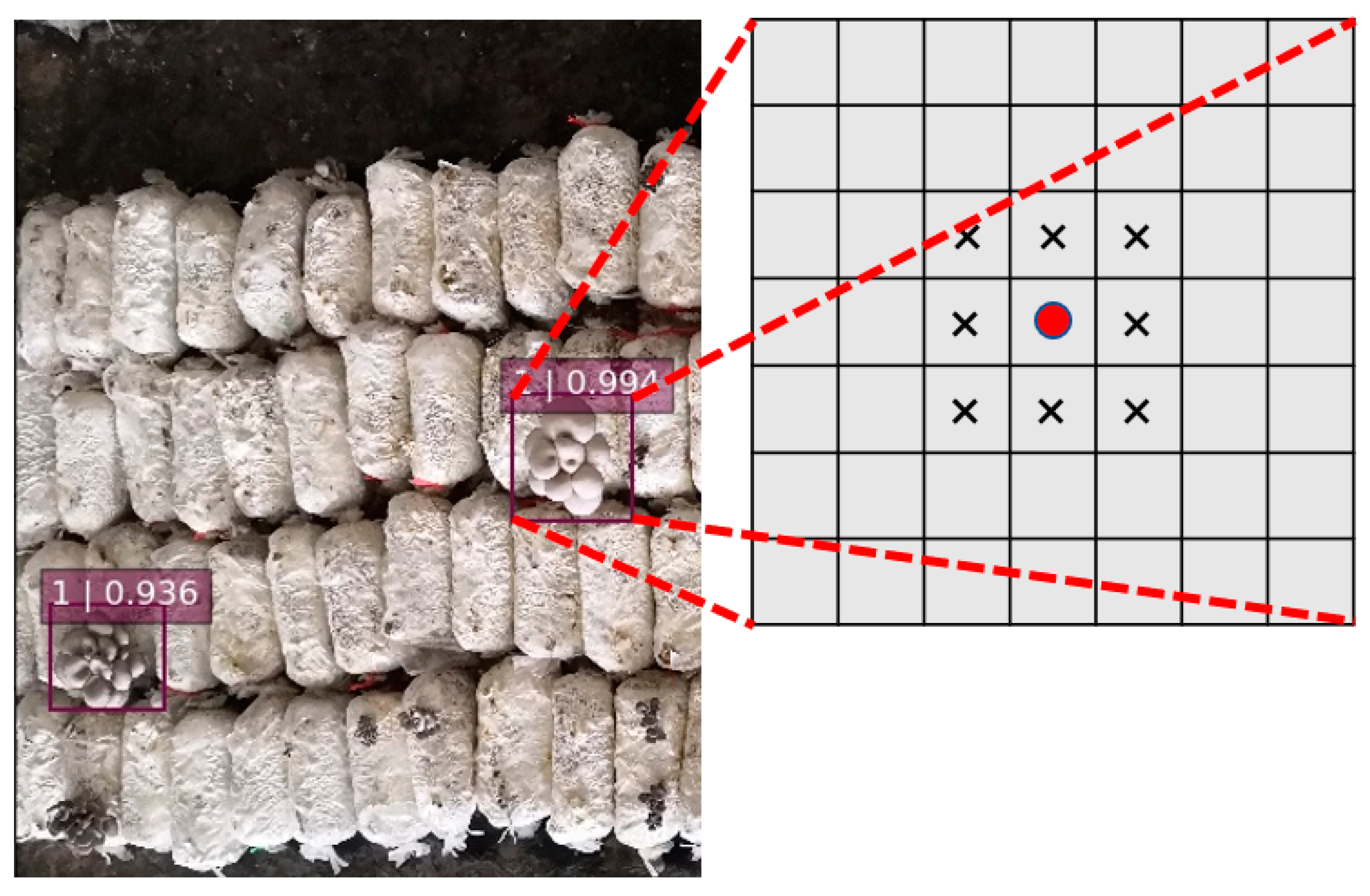 Agronomy 11 01210 g012