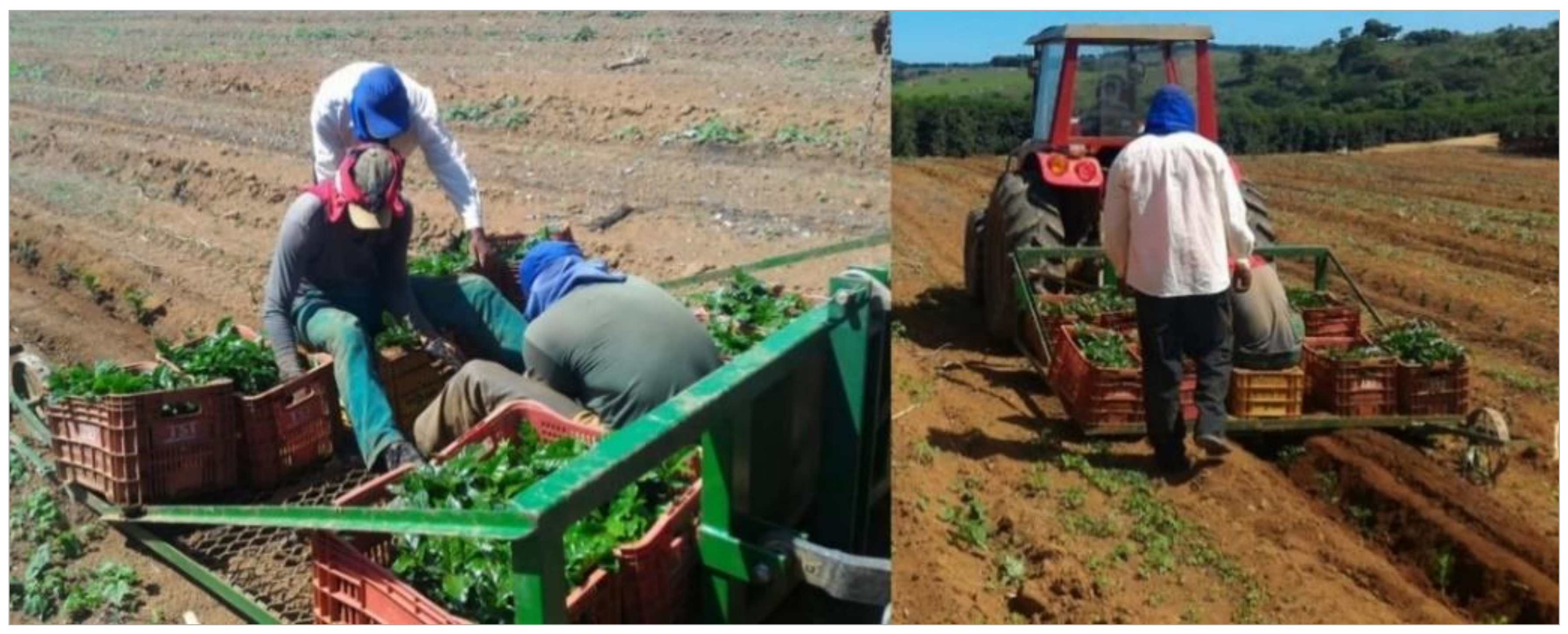 Agronomy 11 01224 g002