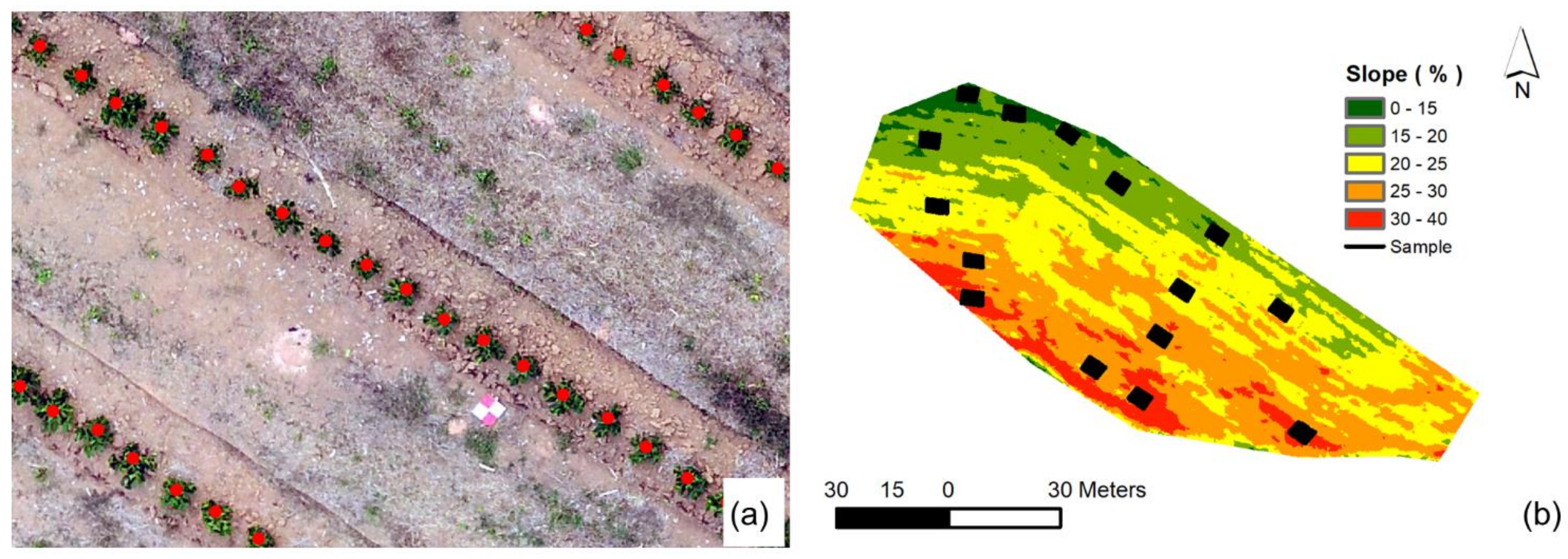 Agronomy 11 01224 g006