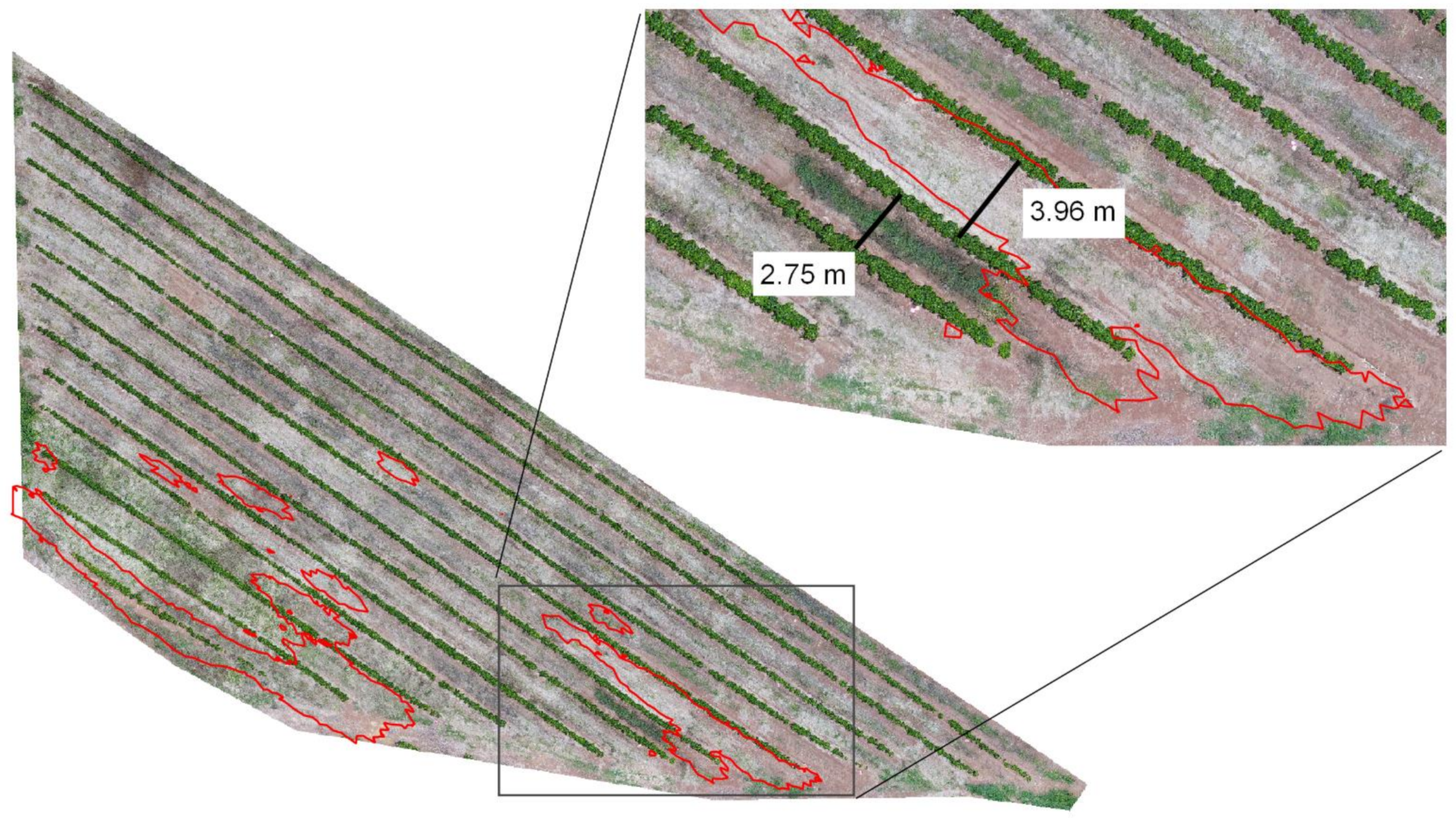 Agronomy 11 01224 g011
