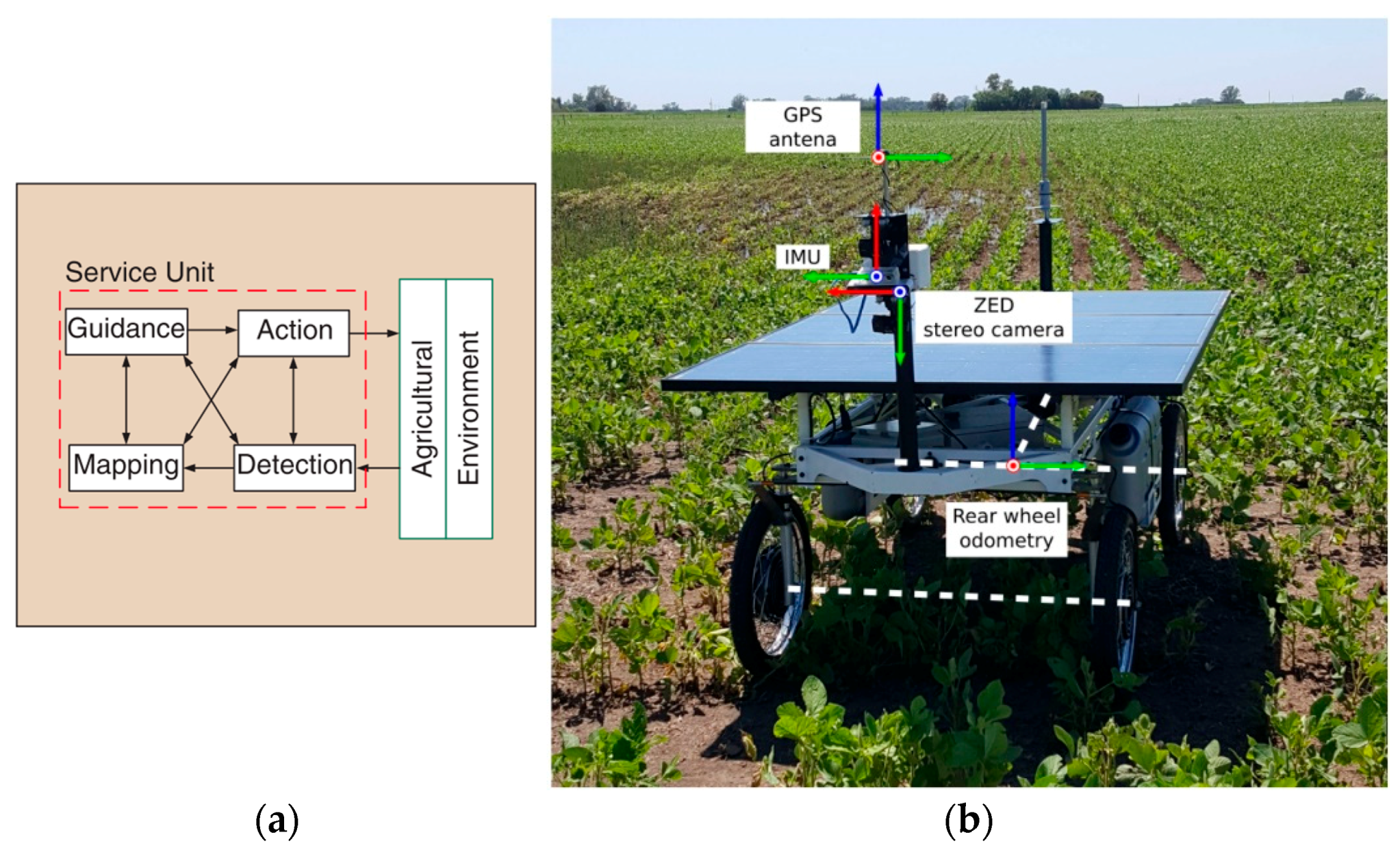 Agronomy 11 01227 g008 Agronomy 11 01227 g008