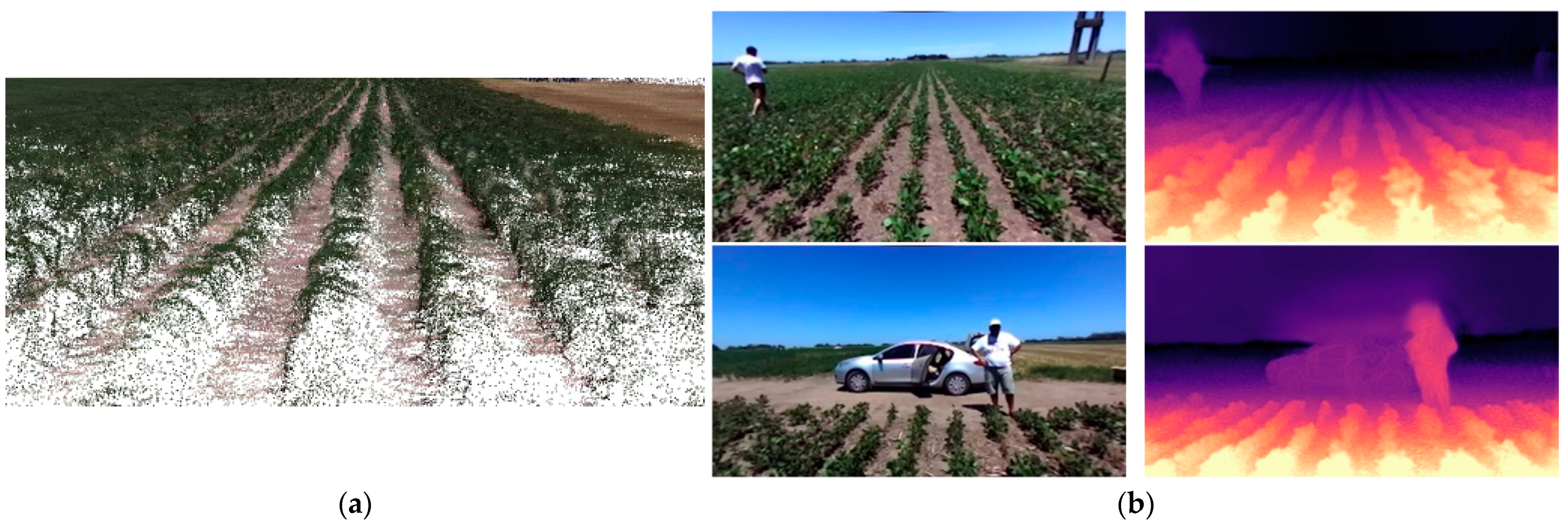 Agronomy 11 01227 g009 Agronomy 11 01227 g009