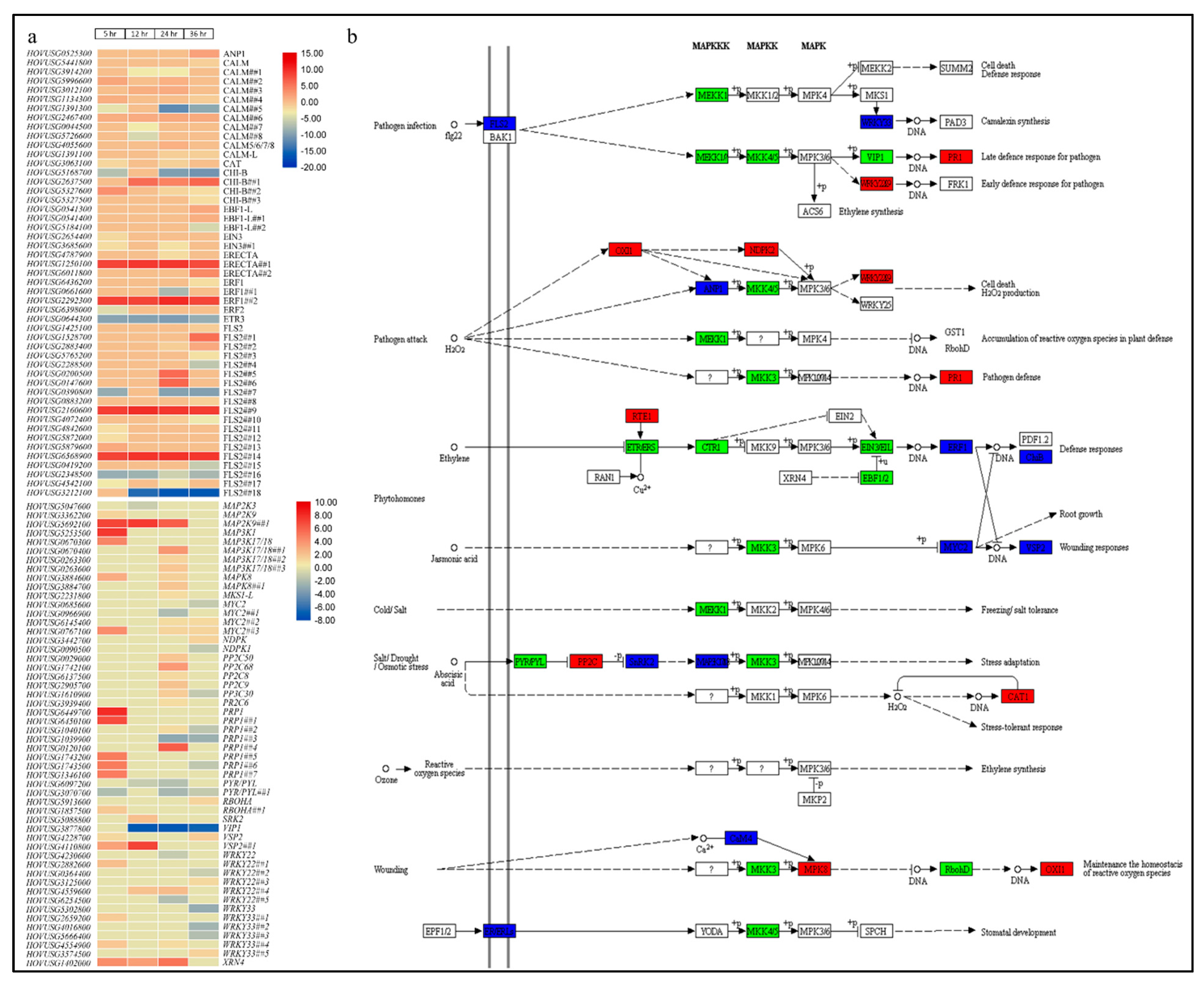 Agronomy 11 01248 g005