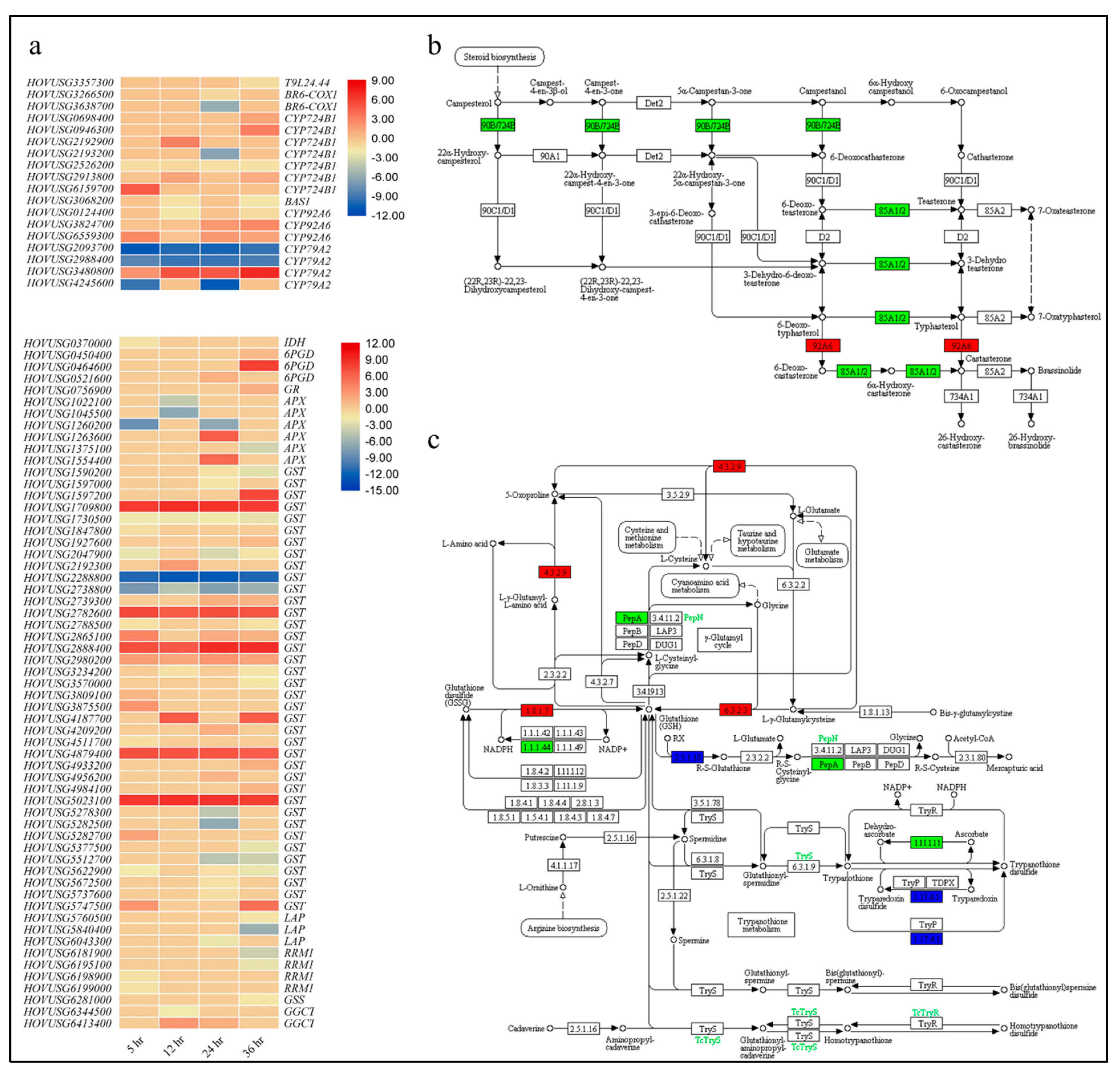 Agronomy 11 01248 g006