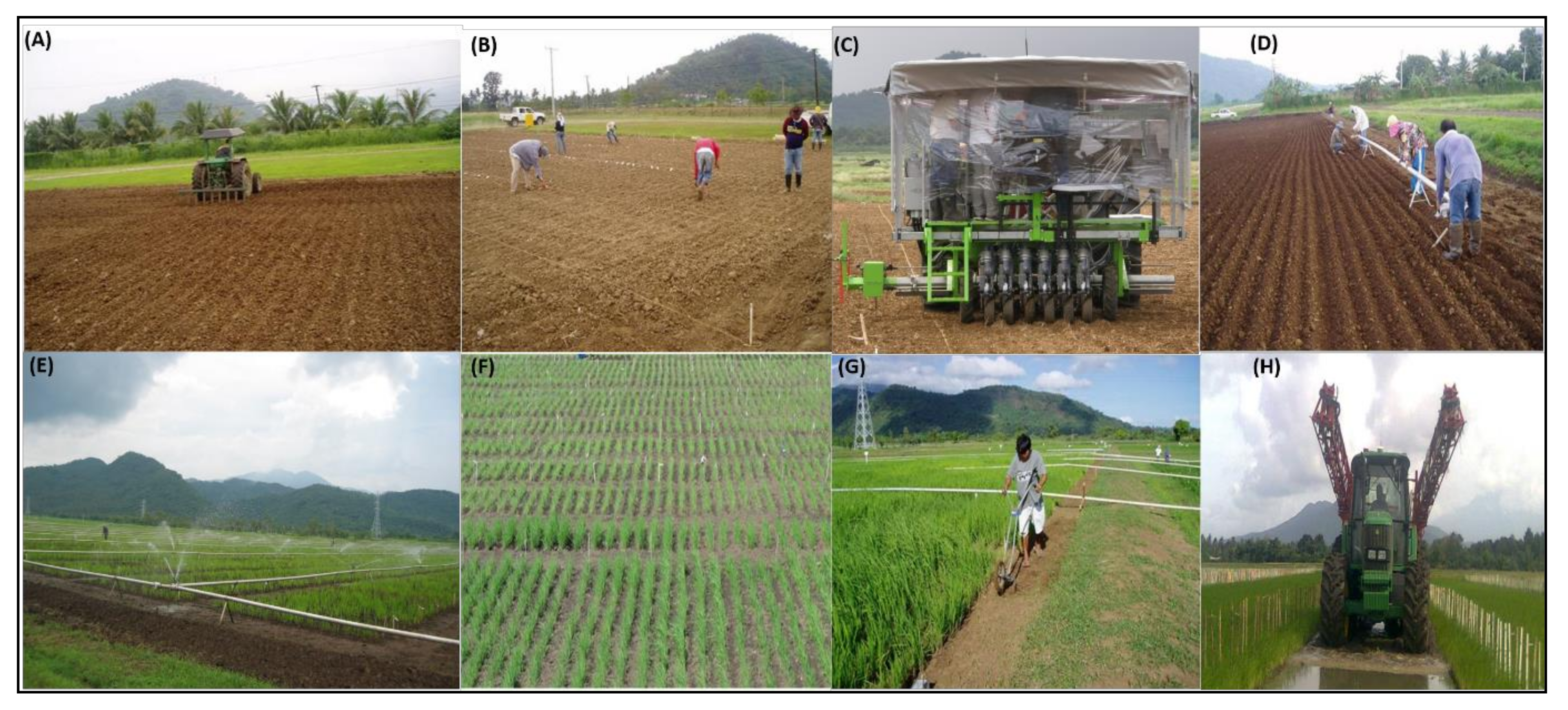 Agronomy 11 01264 g004