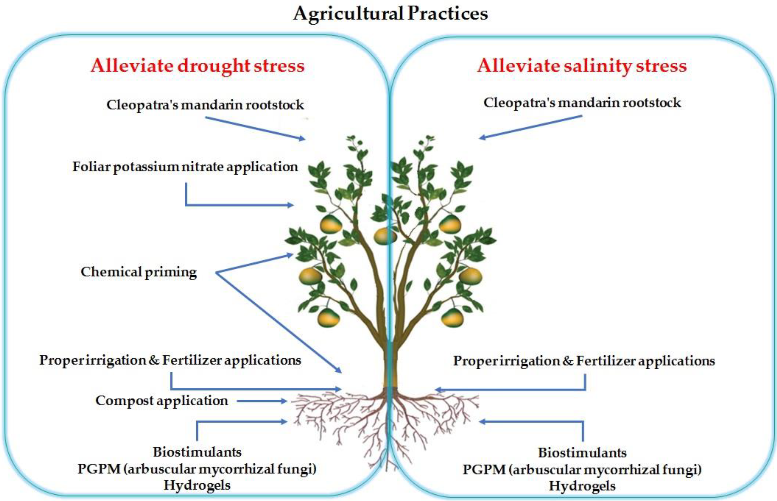 Agronomy 11 01283 g001 Agronomy 11 01283 g001