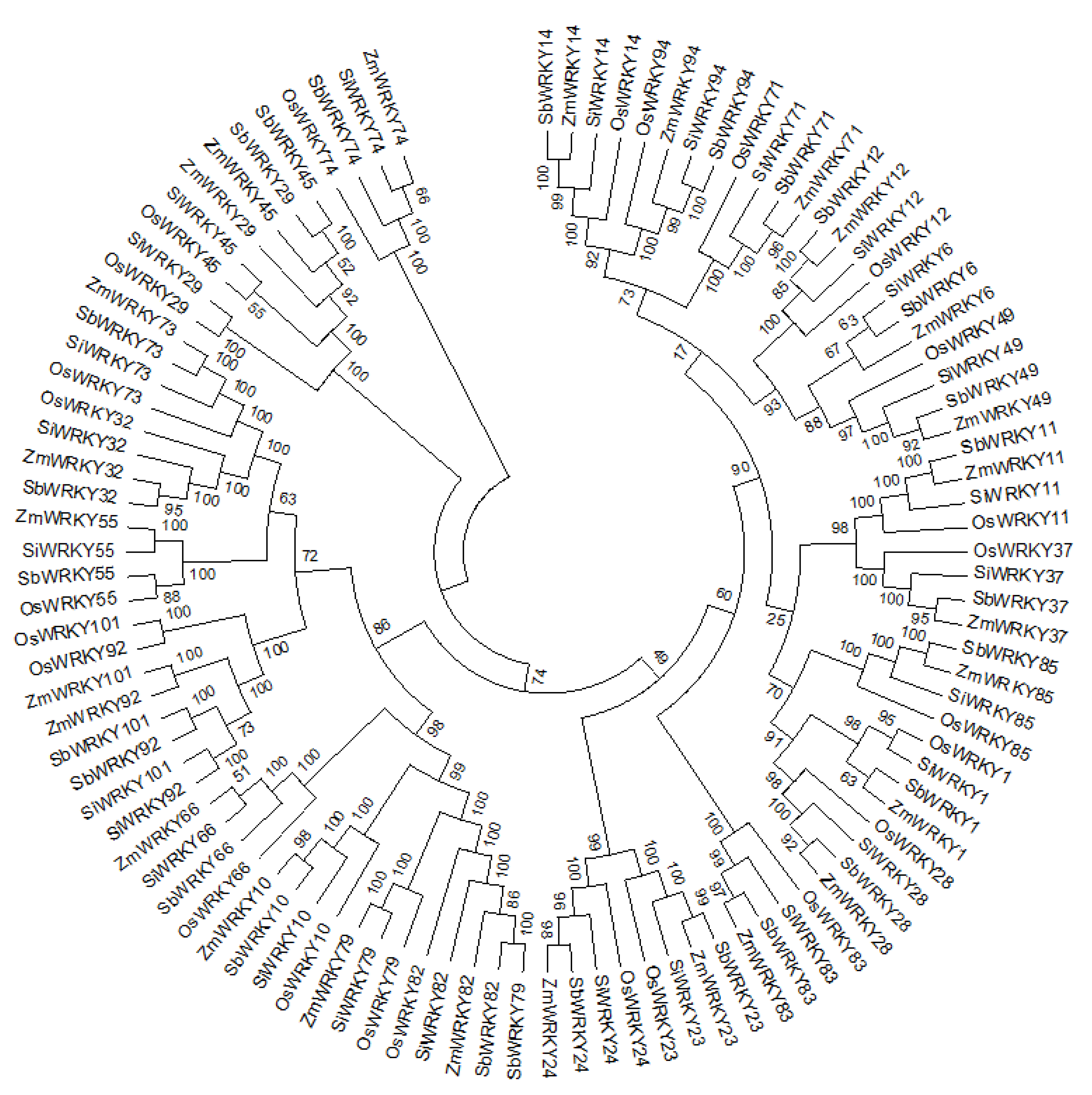 Agronomy 11 01301 g004