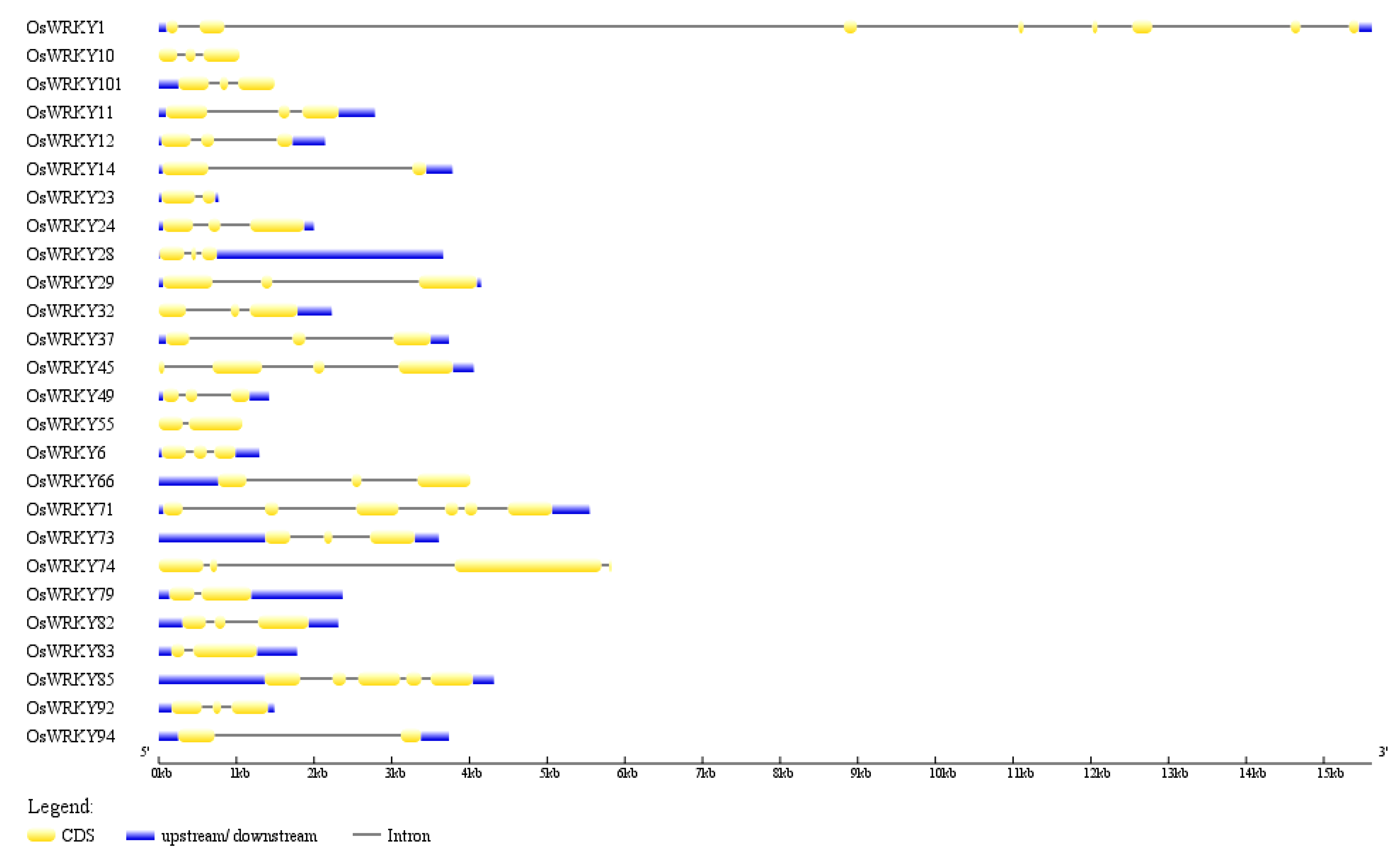 Agronomy 11 01301 g005
