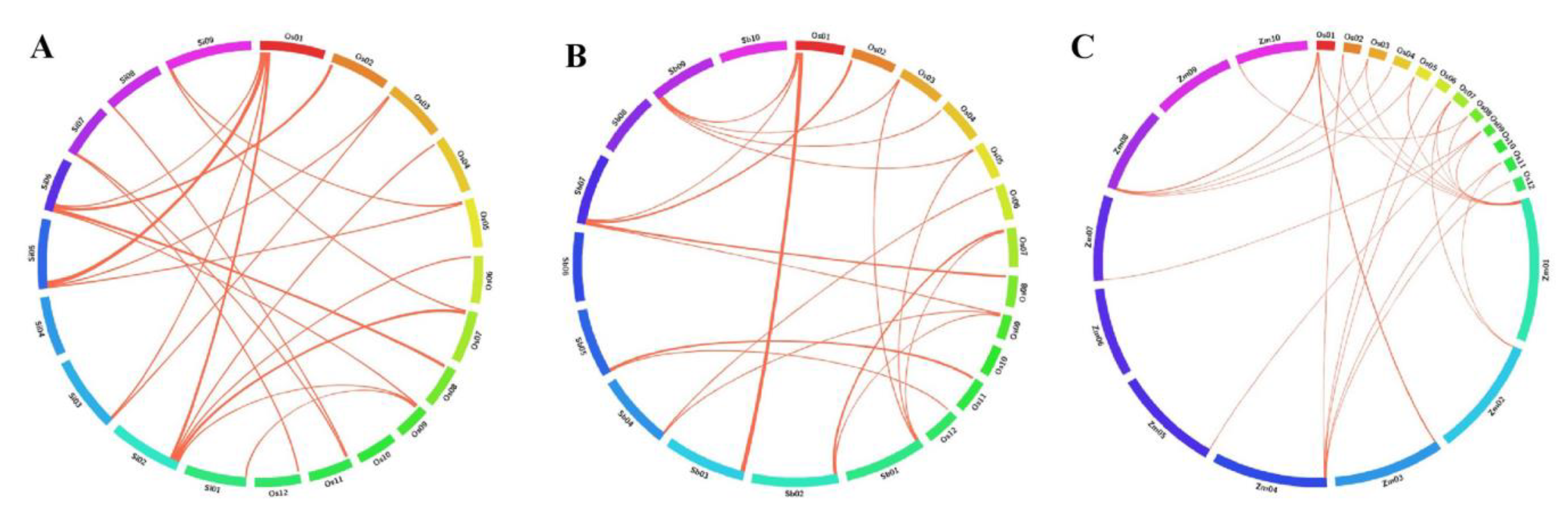 Agronomy 11 01301 g009