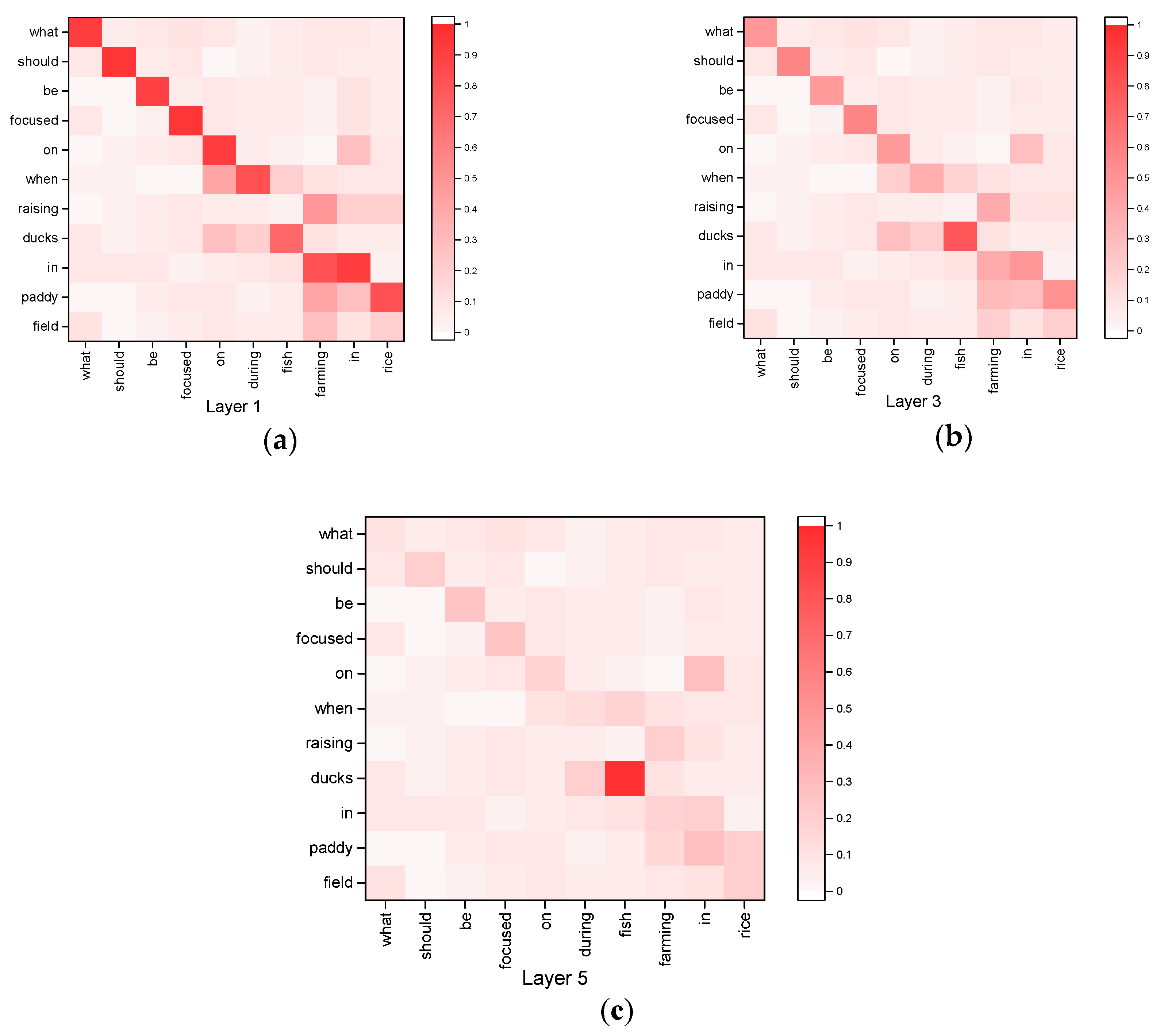 Agronomy 11 01307 g005
