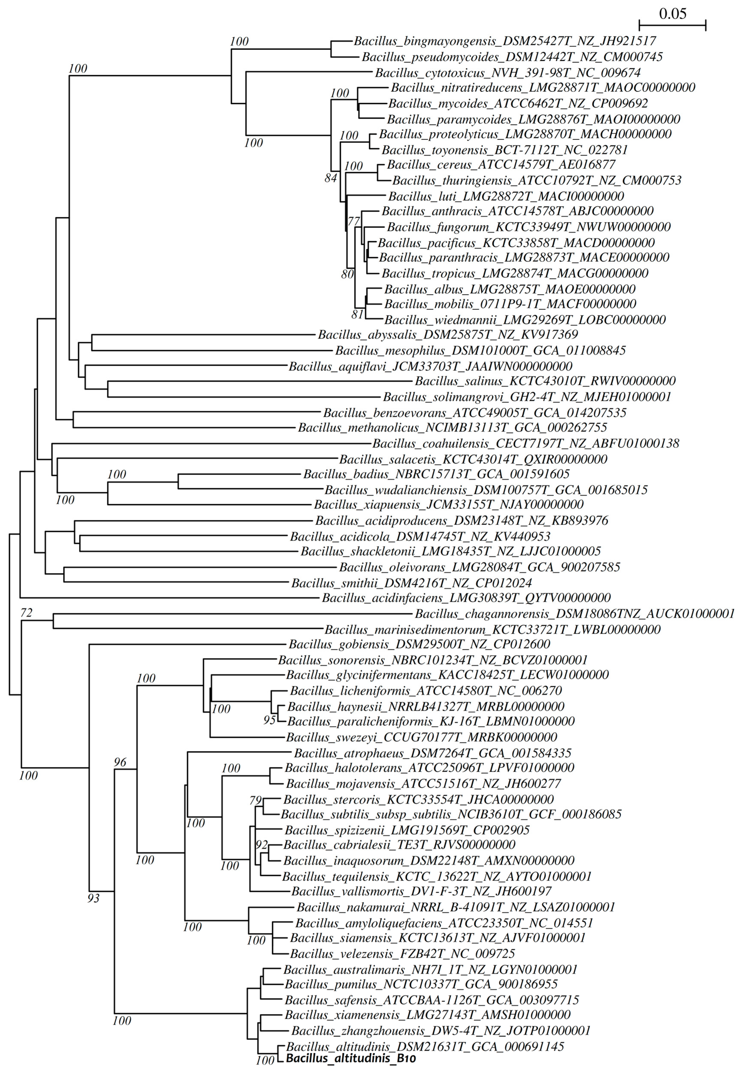 Agronomy 11 01344 g004