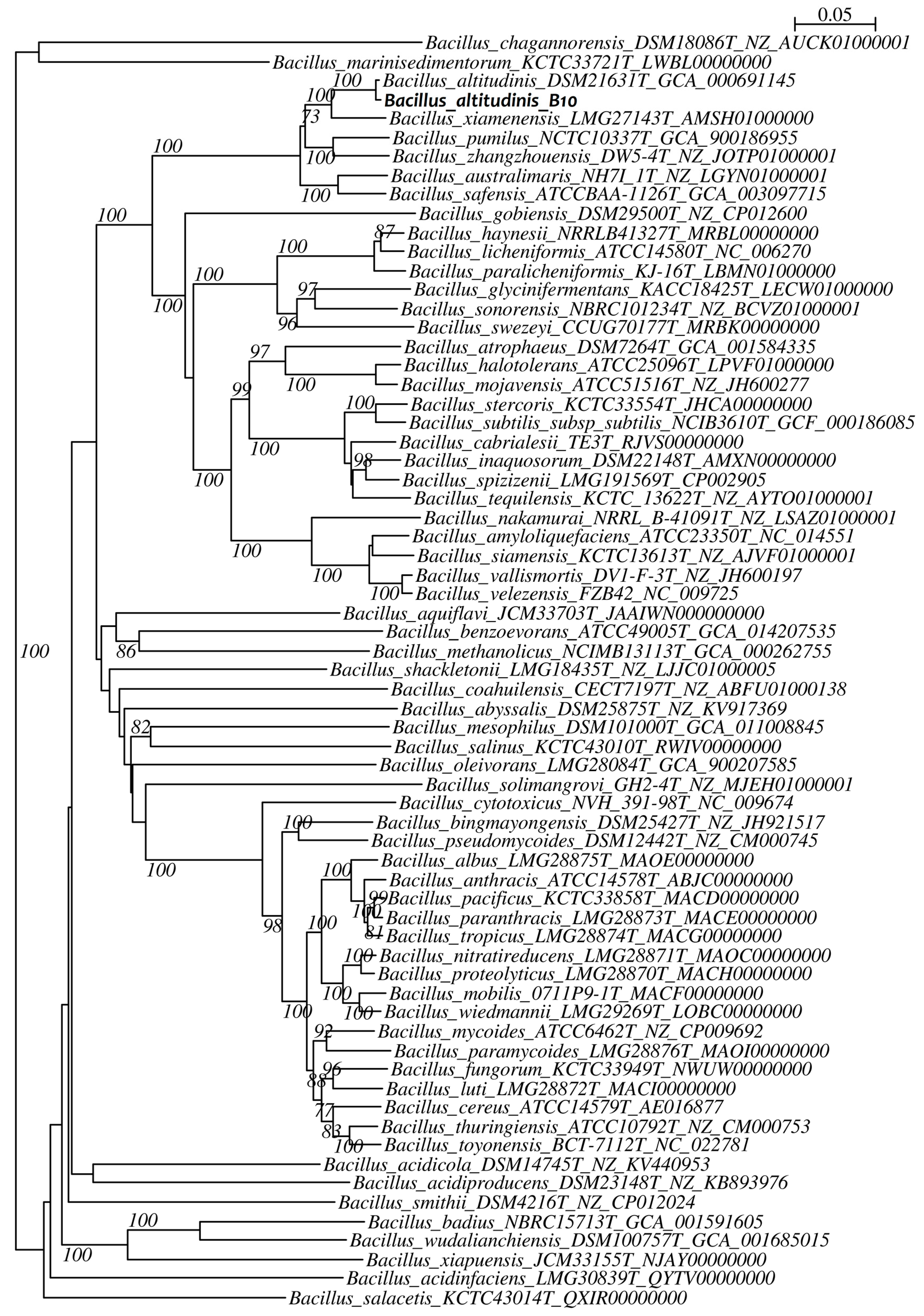 Agronomy 11 01344 g005