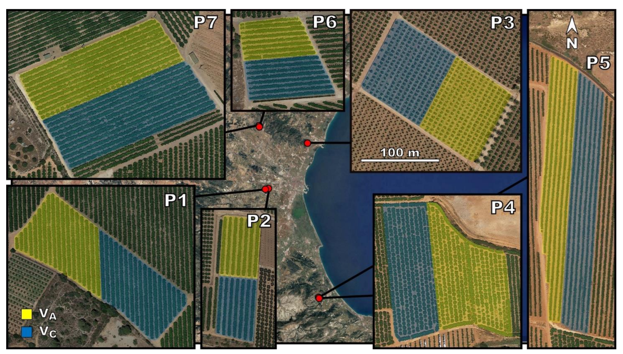 Agronomy 11 01350 g001