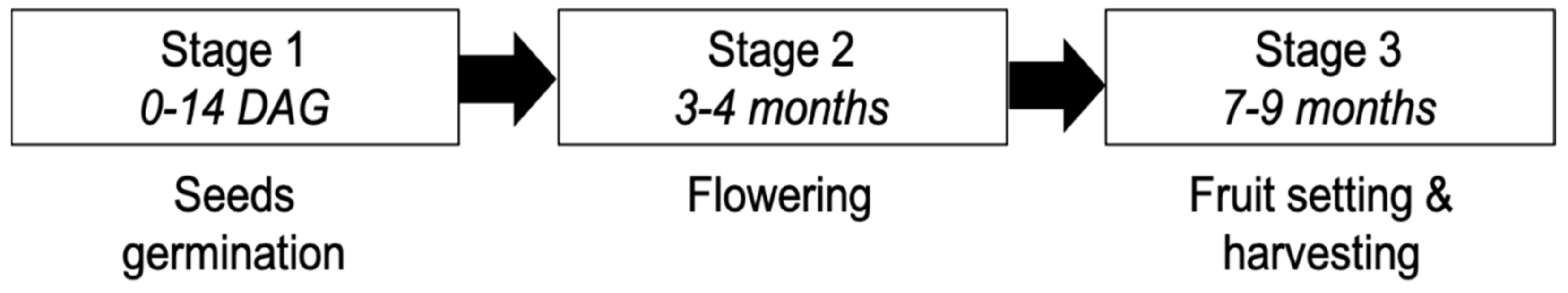 Agronomy 11 01356 g001