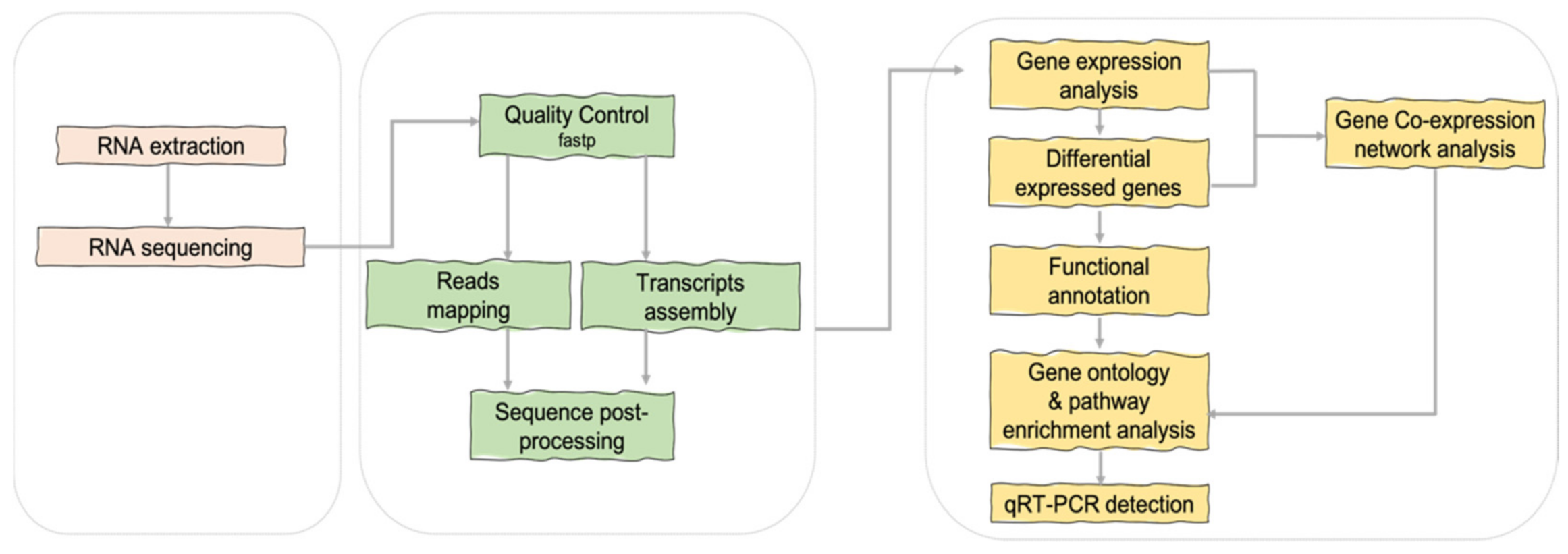 Agronomy 11 01356 g004