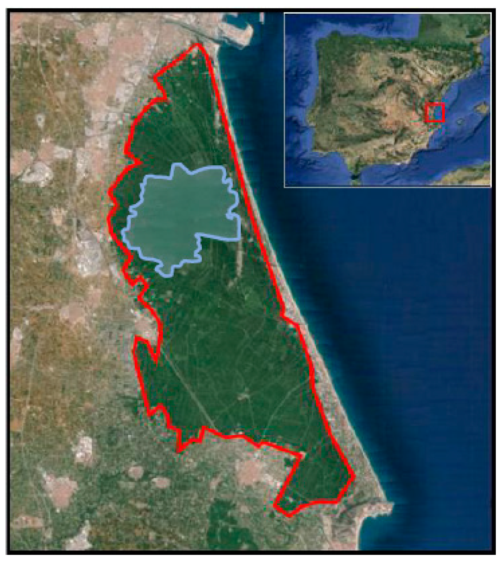 Agronomy 11 01365 g006