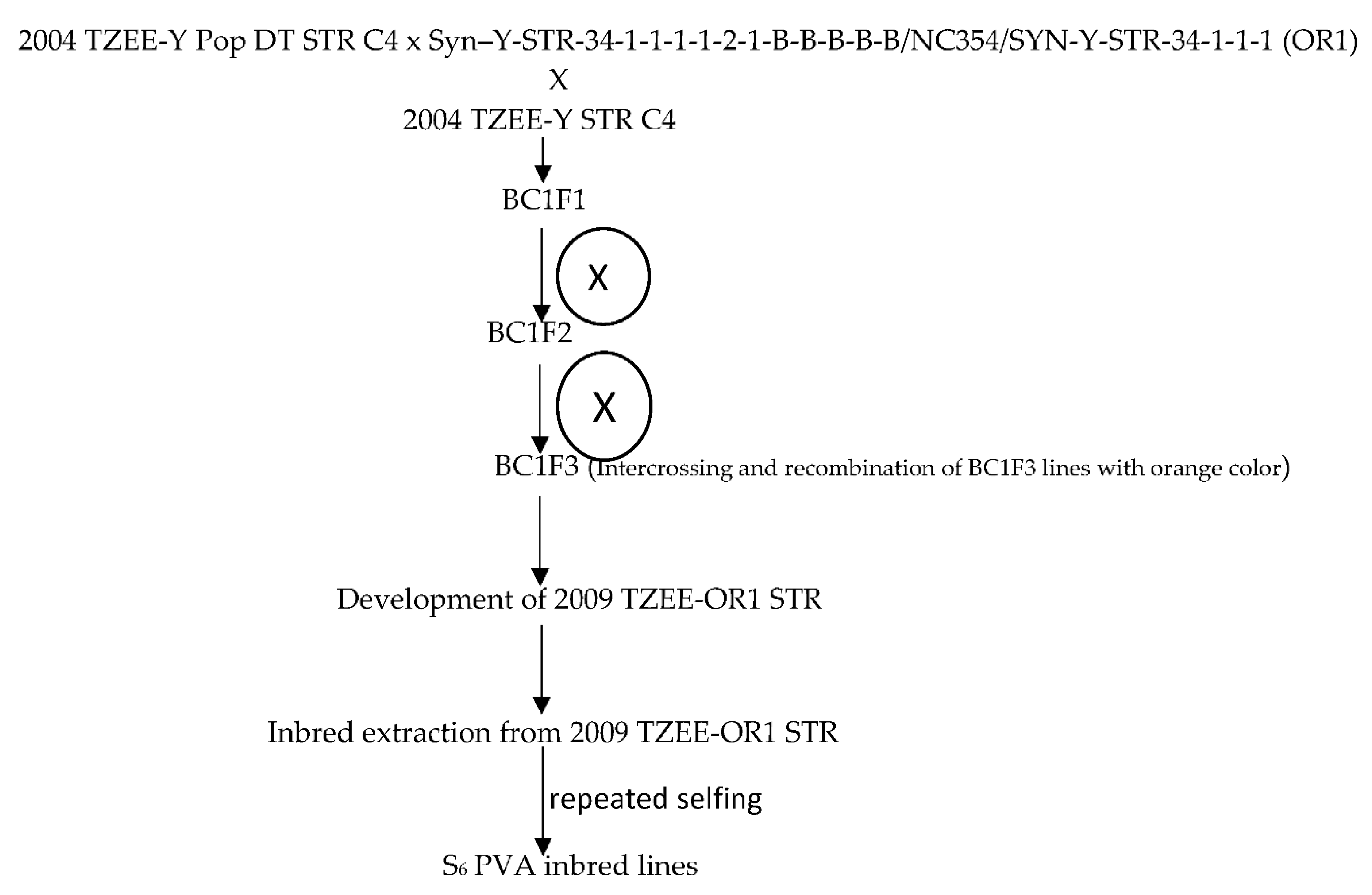 Agronomy 11 01371 g001