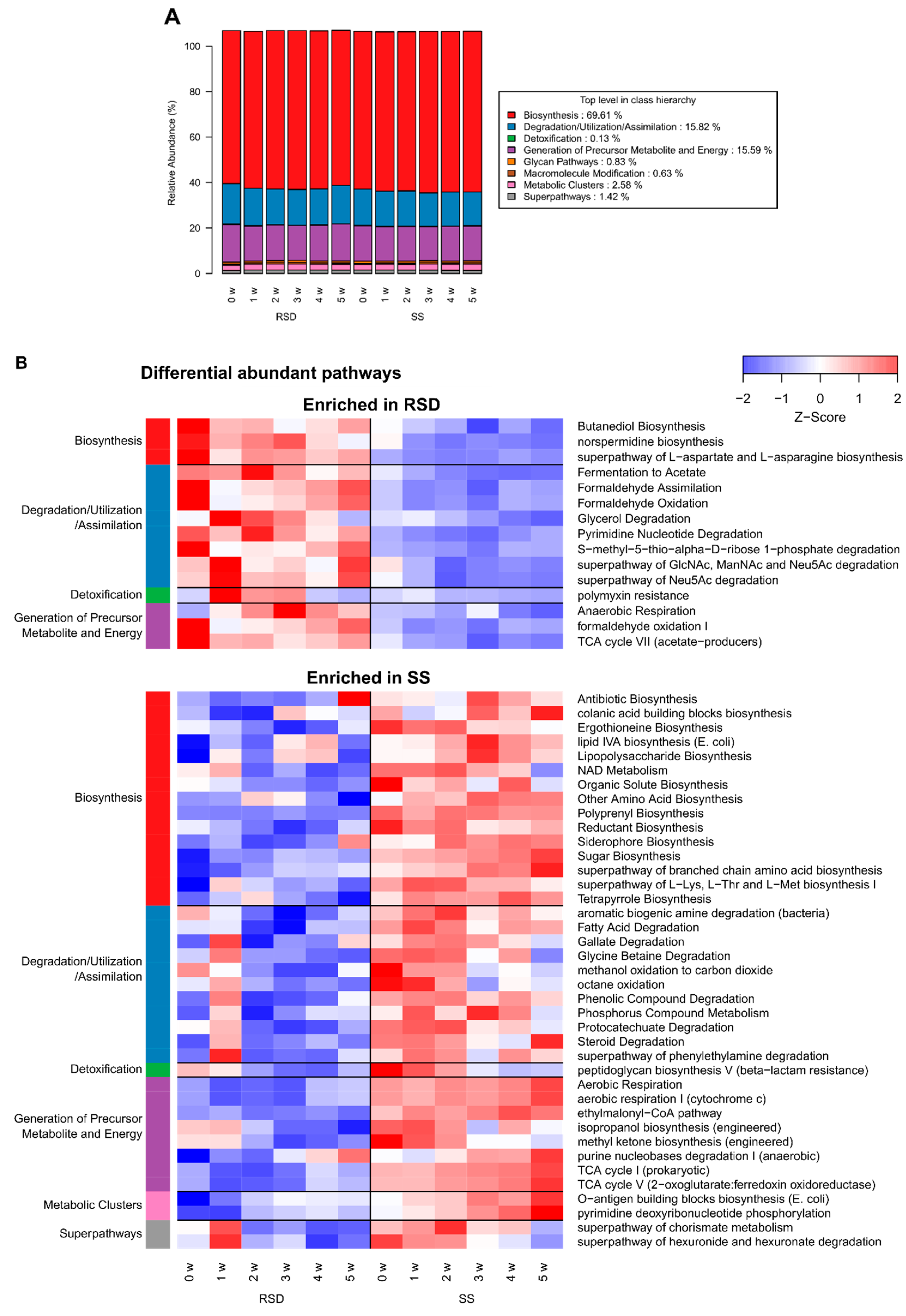 Agronomy 11 01375 g005