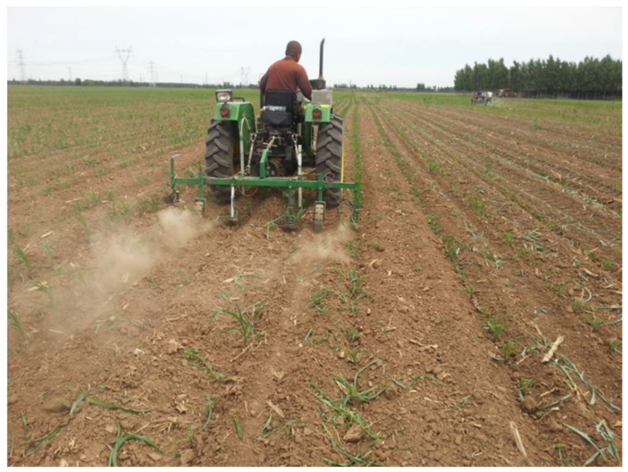 Agronomy 11 01376 g003 Agronomy 11 01376 g003